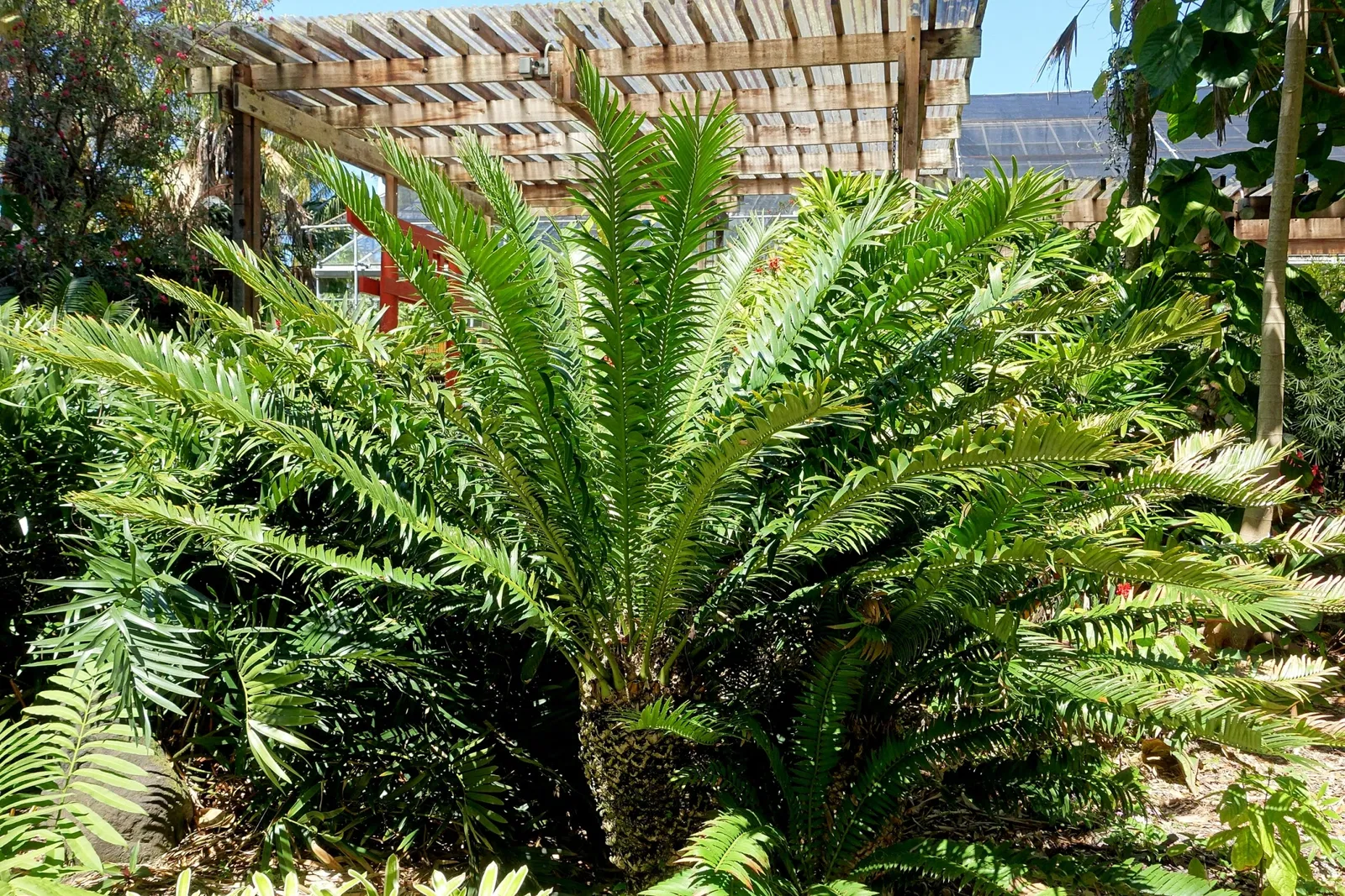 Casa de Christy Payne y Jardín Botánico Marie Selby