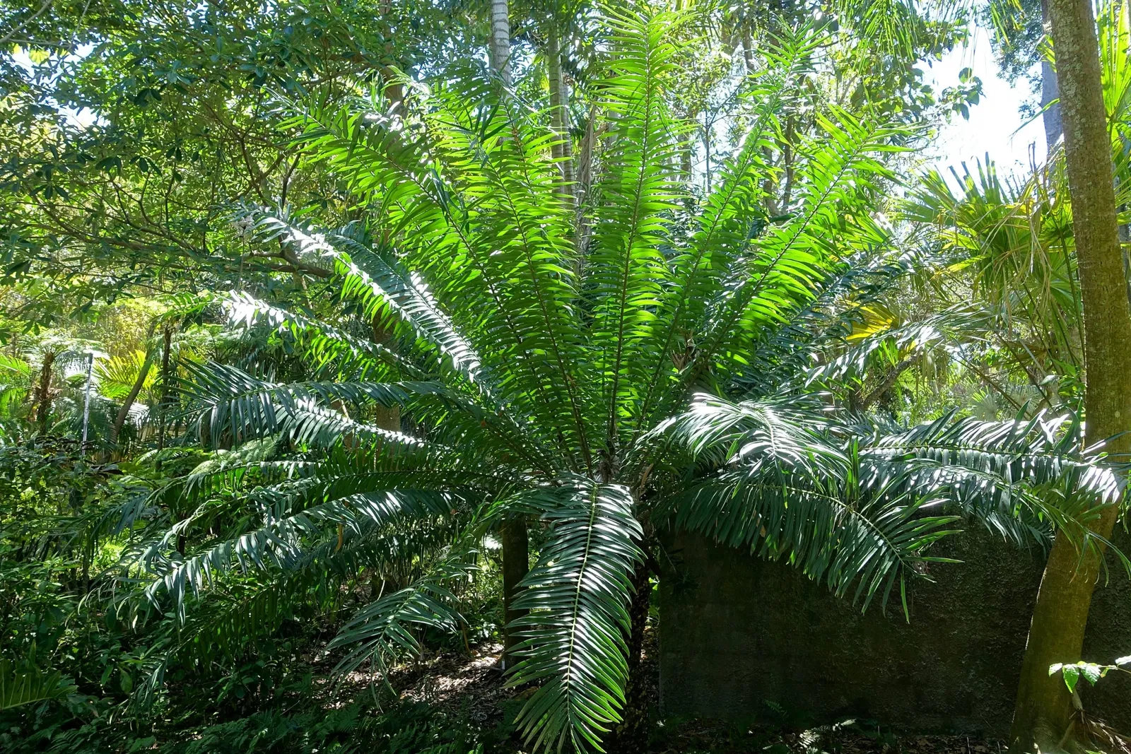 Casa de Christy Payne y Jardín Botánico Marie Selby