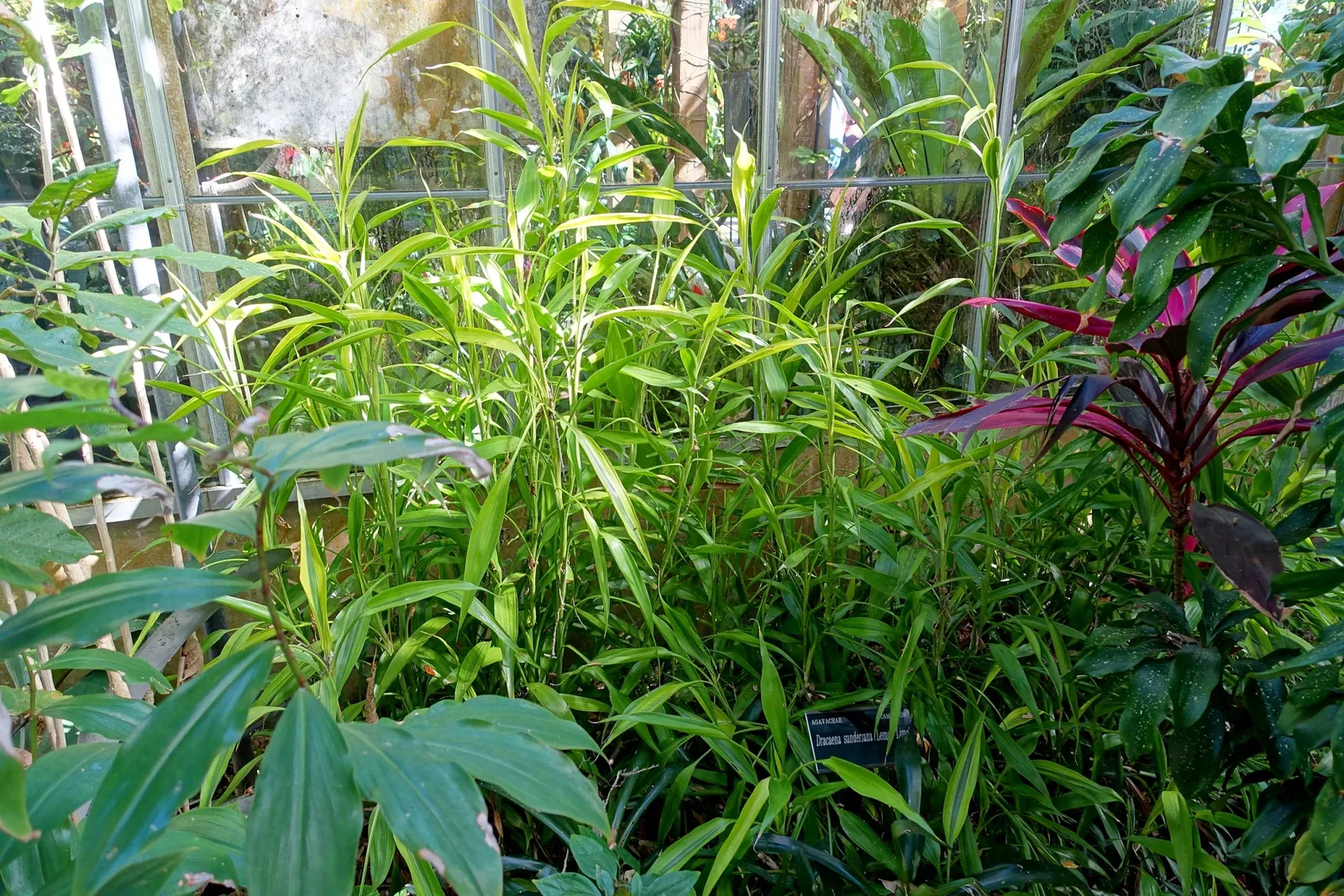 Casa de Christy Payne y Jardín Botánico Marie Selby