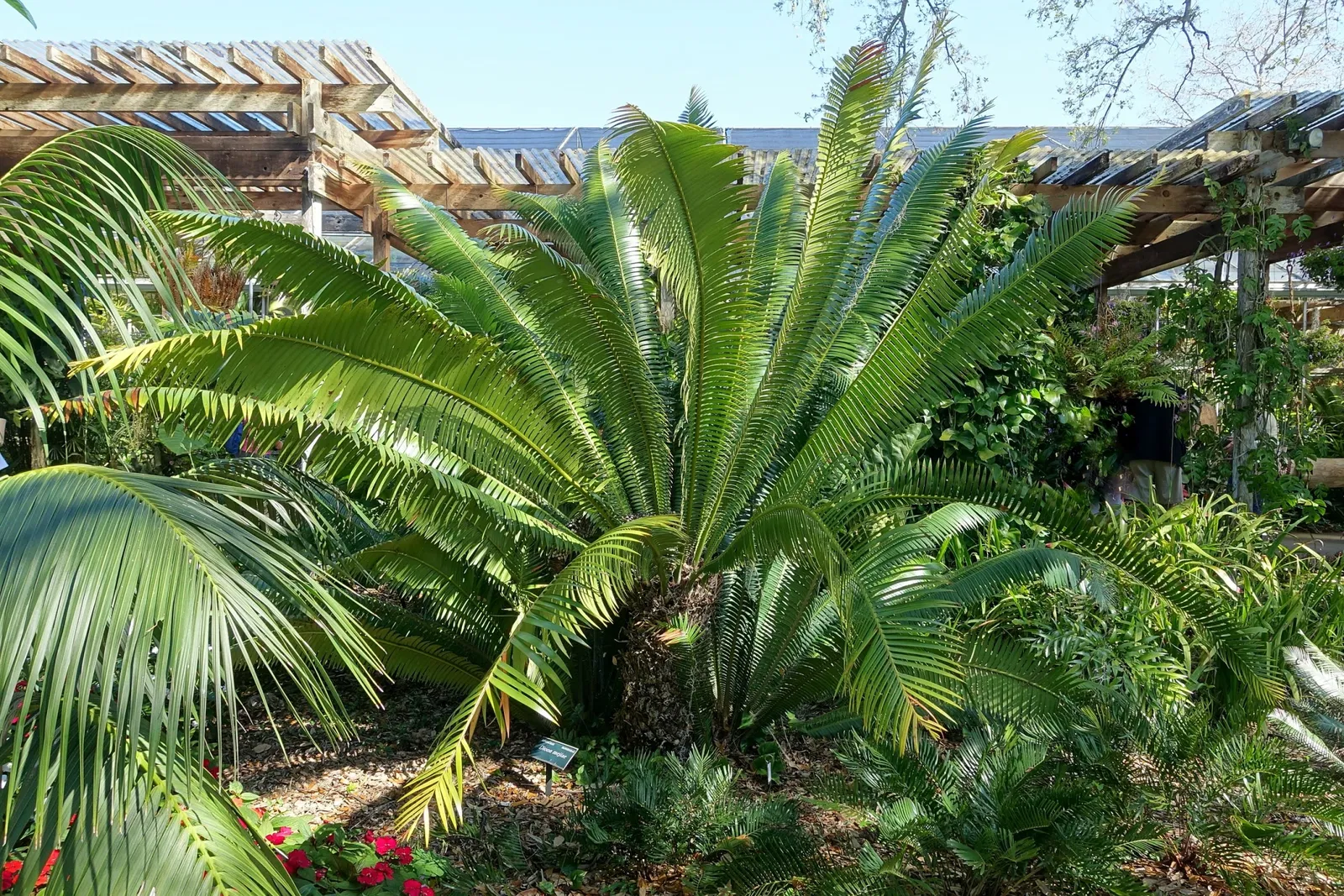 Casa de Christy Payne y Jardín Botánico Marie Selby