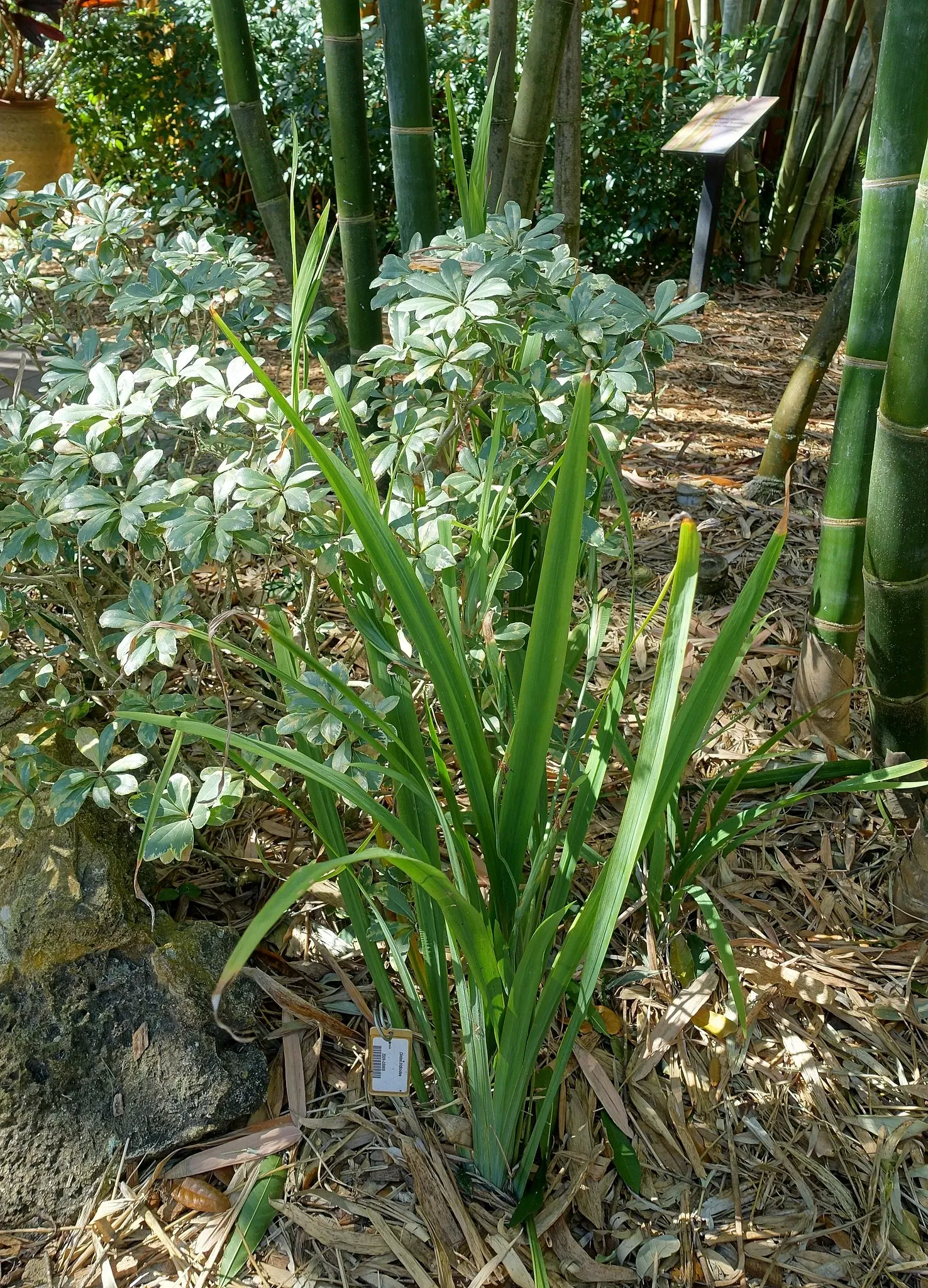 Casa de Christy Payne y Jardín Botánico Marie Selby