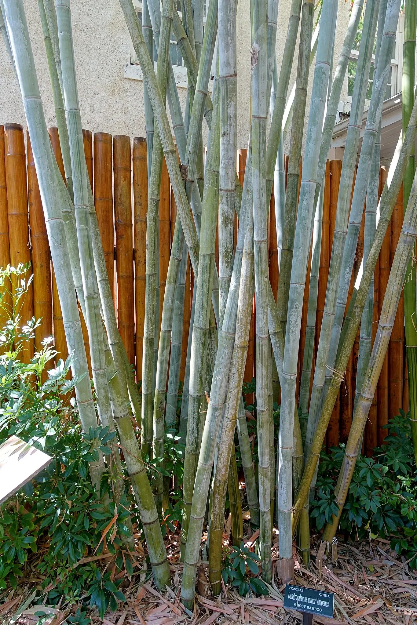 Casa de Christy Payne y Jardín Botánico Marie Selby