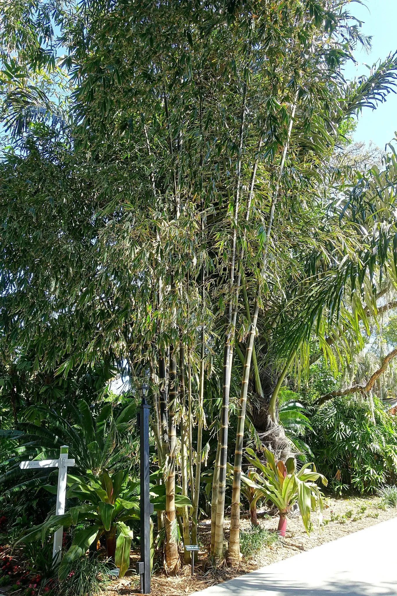 Casa de Christy Payne y Jardín Botánico Marie Selby