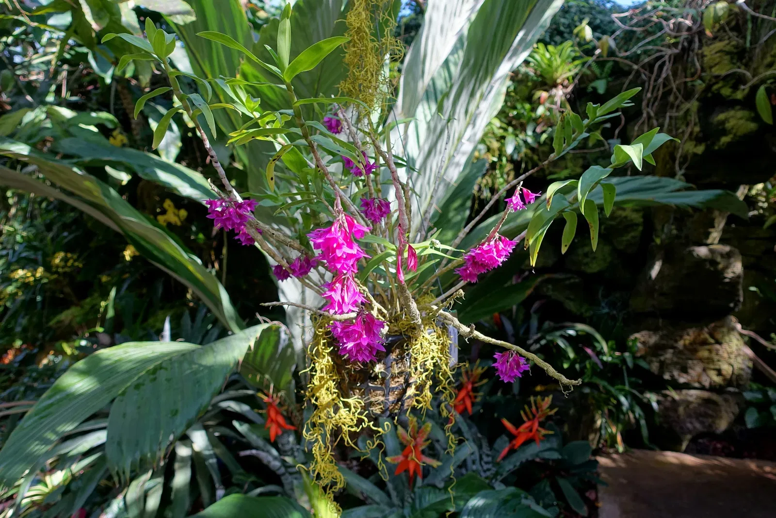 Casa de Christy Payne y Jardín Botánico Marie Selby