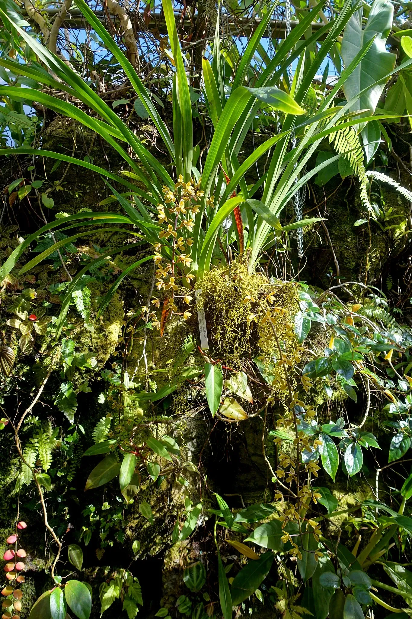 Casa de Christy Payne y Jardín Botánico Marie Selby