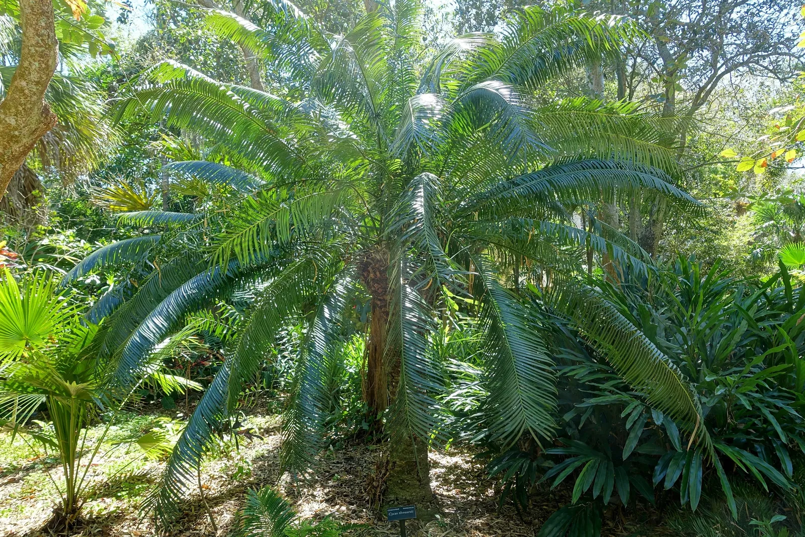 Casa de Christy Payne y Jardín Botánico Marie Selby