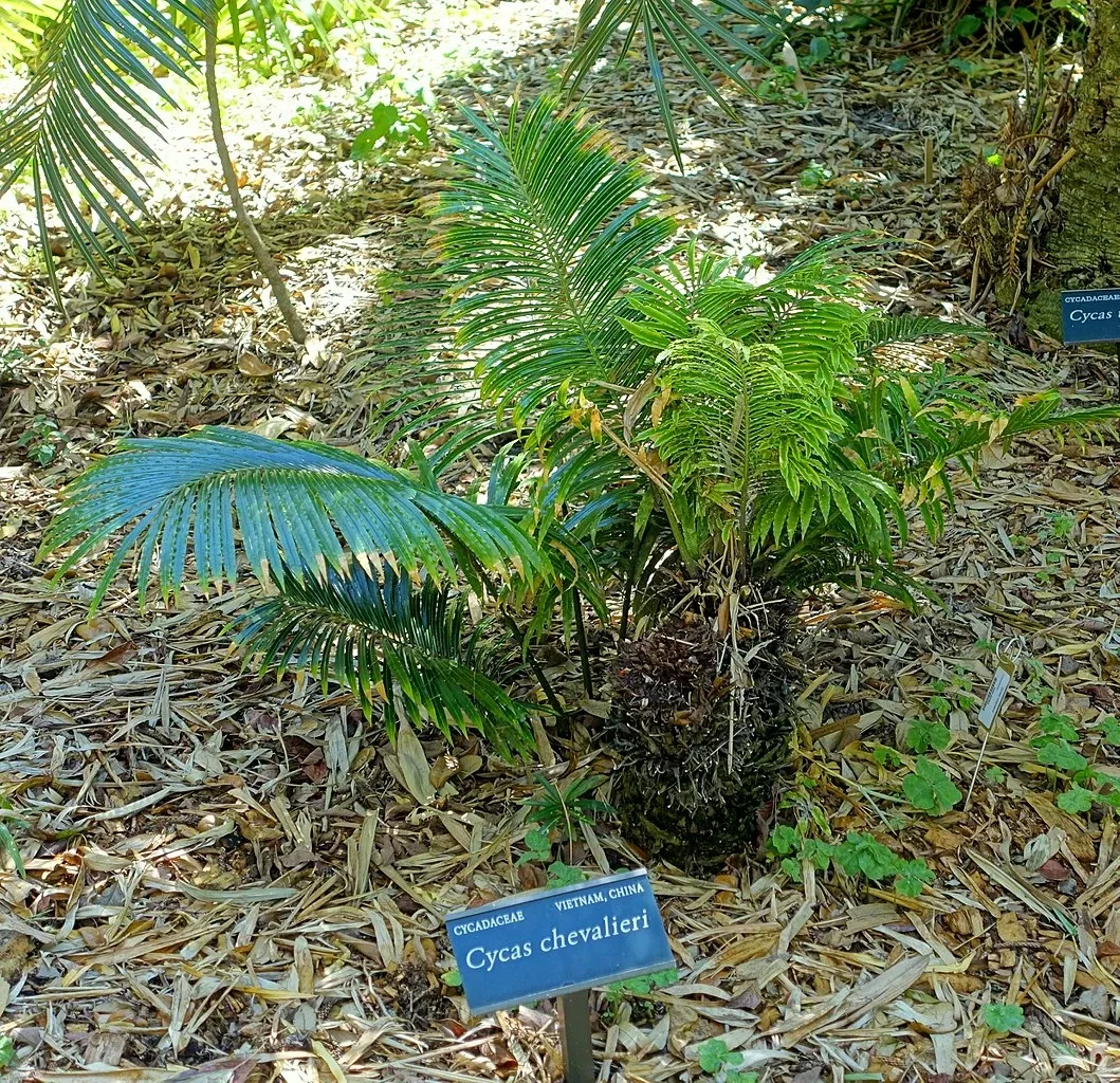 Casa de Christy Payne y Jardín Botánico Marie Selby