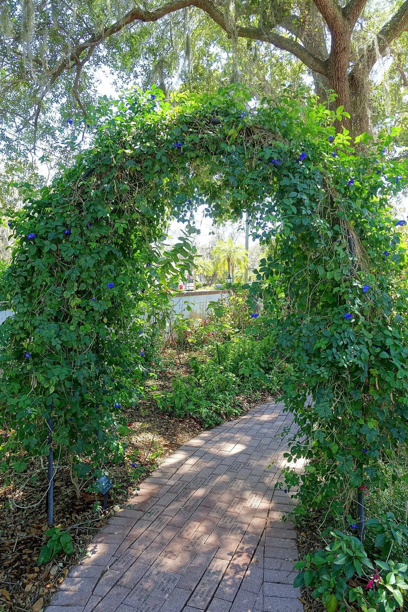 Marie Selby Botanical Gardens