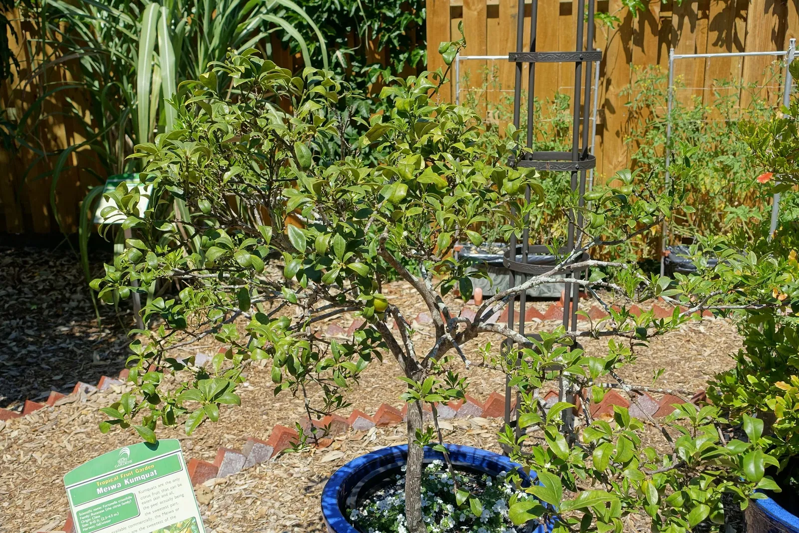 Marie Selby Botanical Gardens
