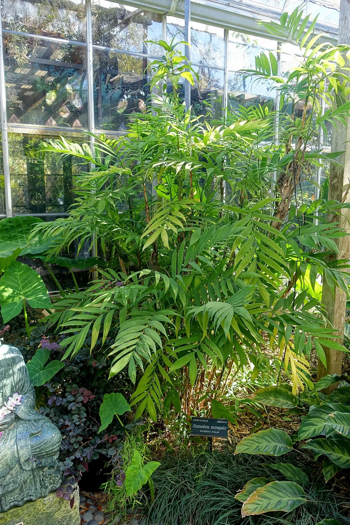 Casa de Christy Payne y Jardín Botánico Marie Selby