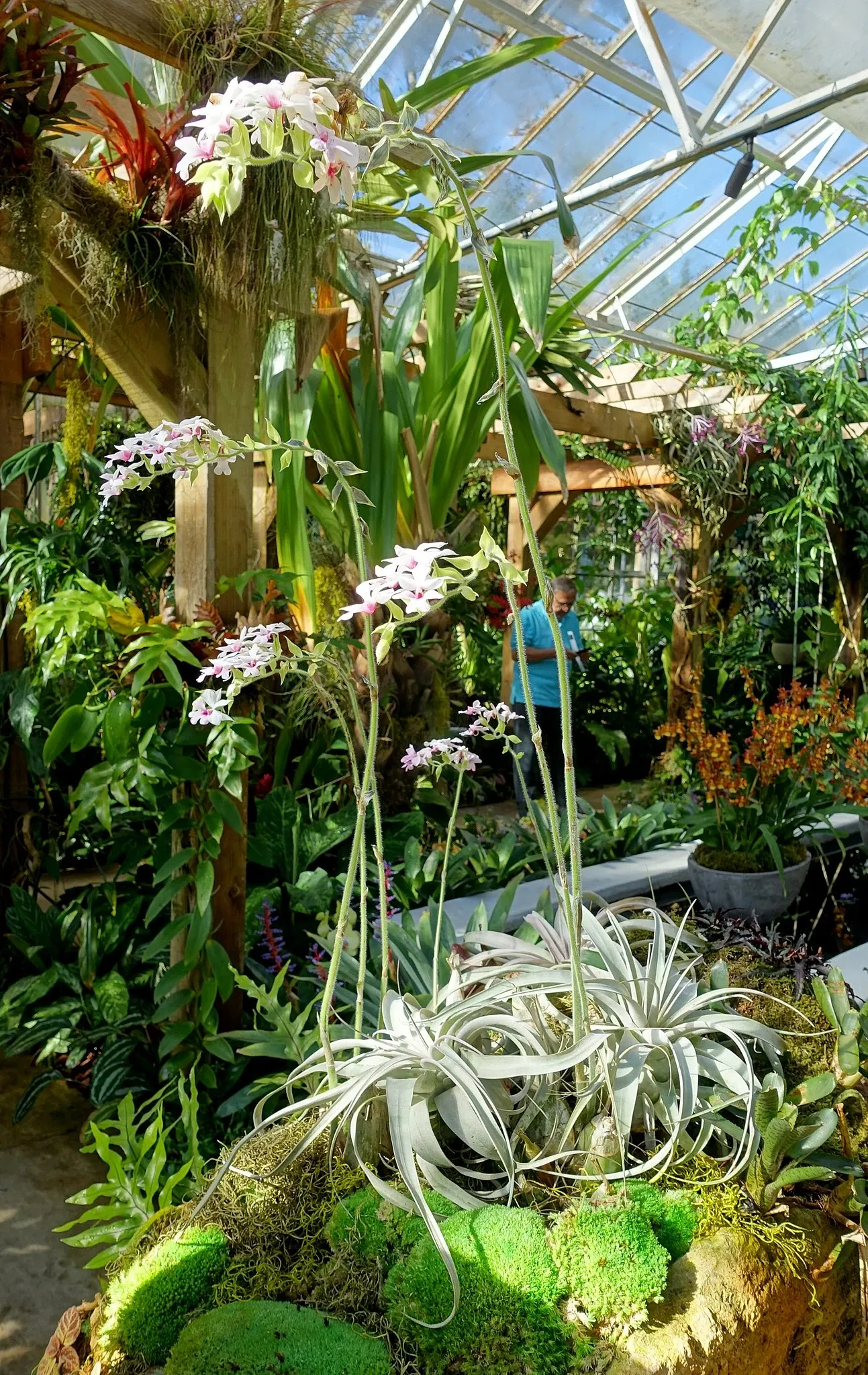 Casa de Christy Payne y Jardín Botánico Marie Selby