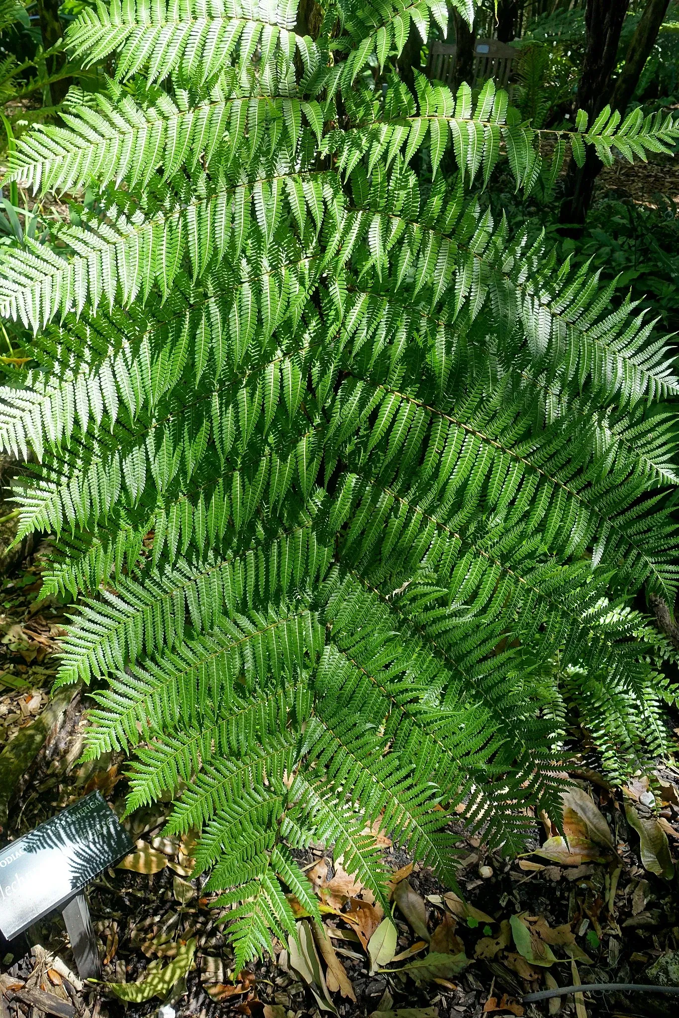Casa de Christy Payne y Jardín Botánico Marie Selby