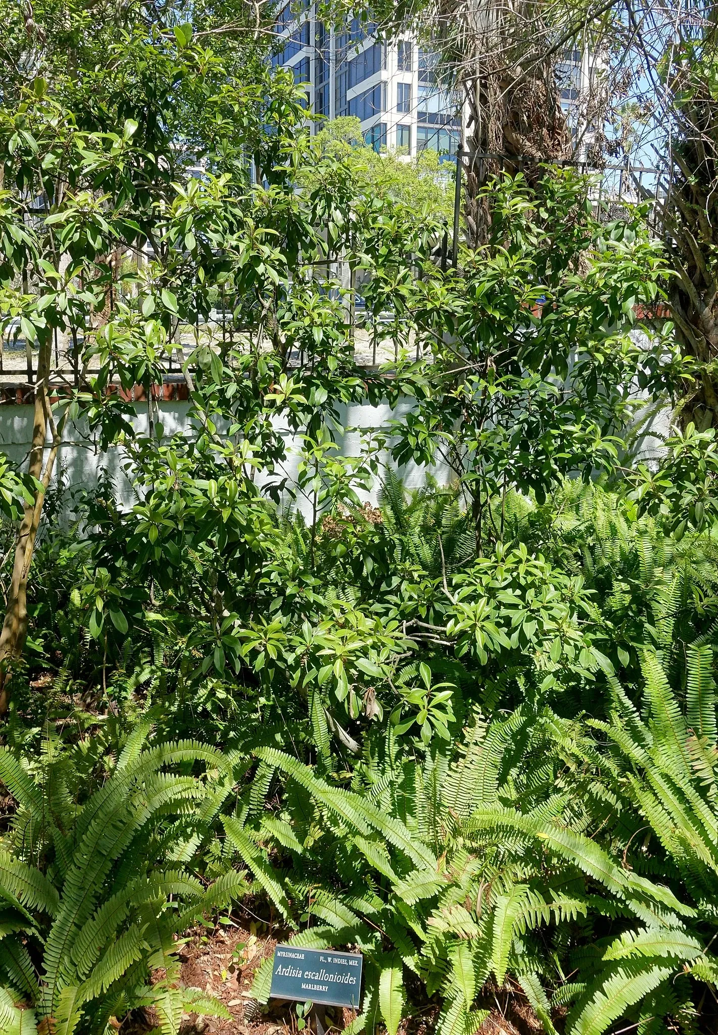 Casa de Christy Payne y Jardín Botánico Marie Selby