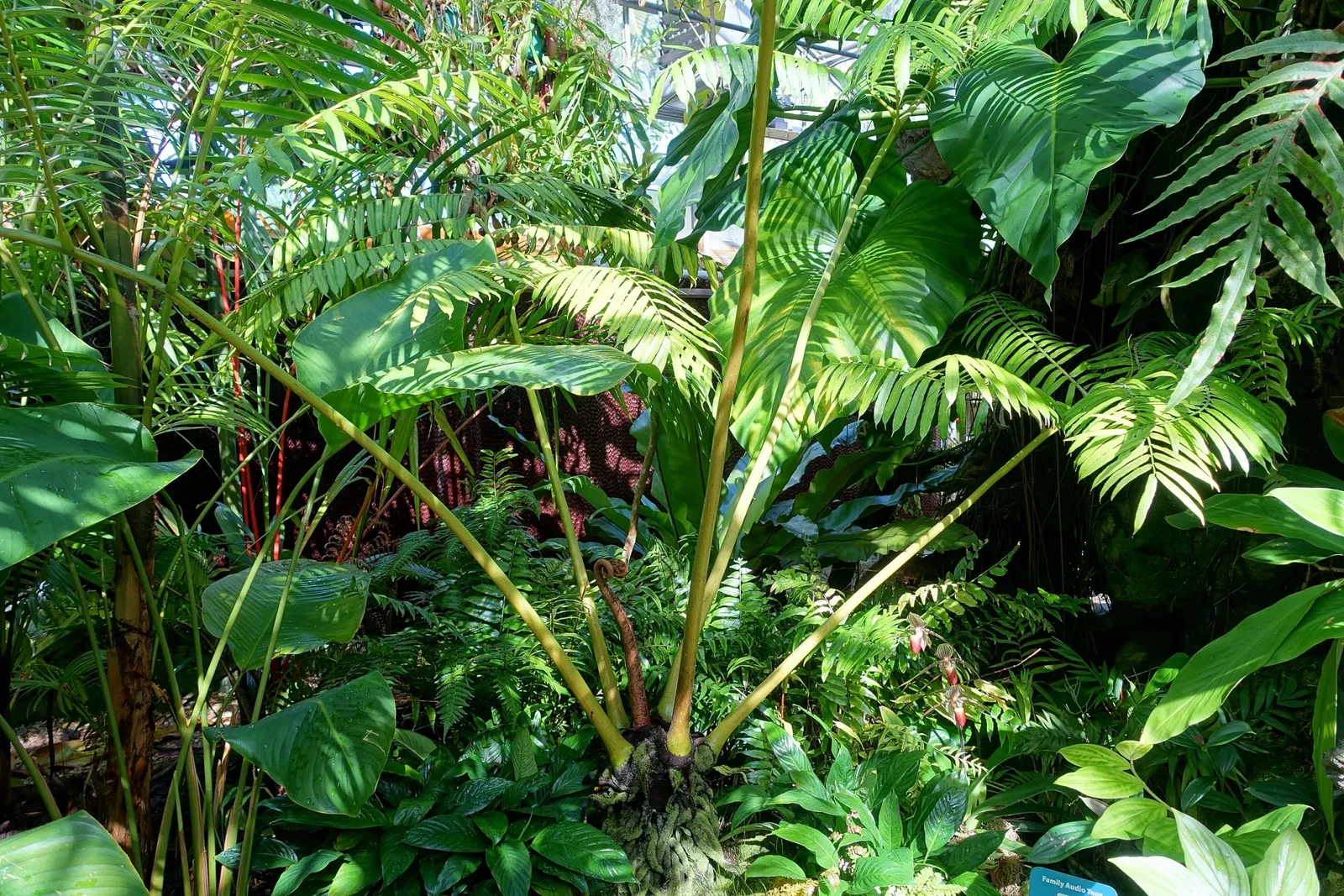 Marie Selby Botanical Gardens