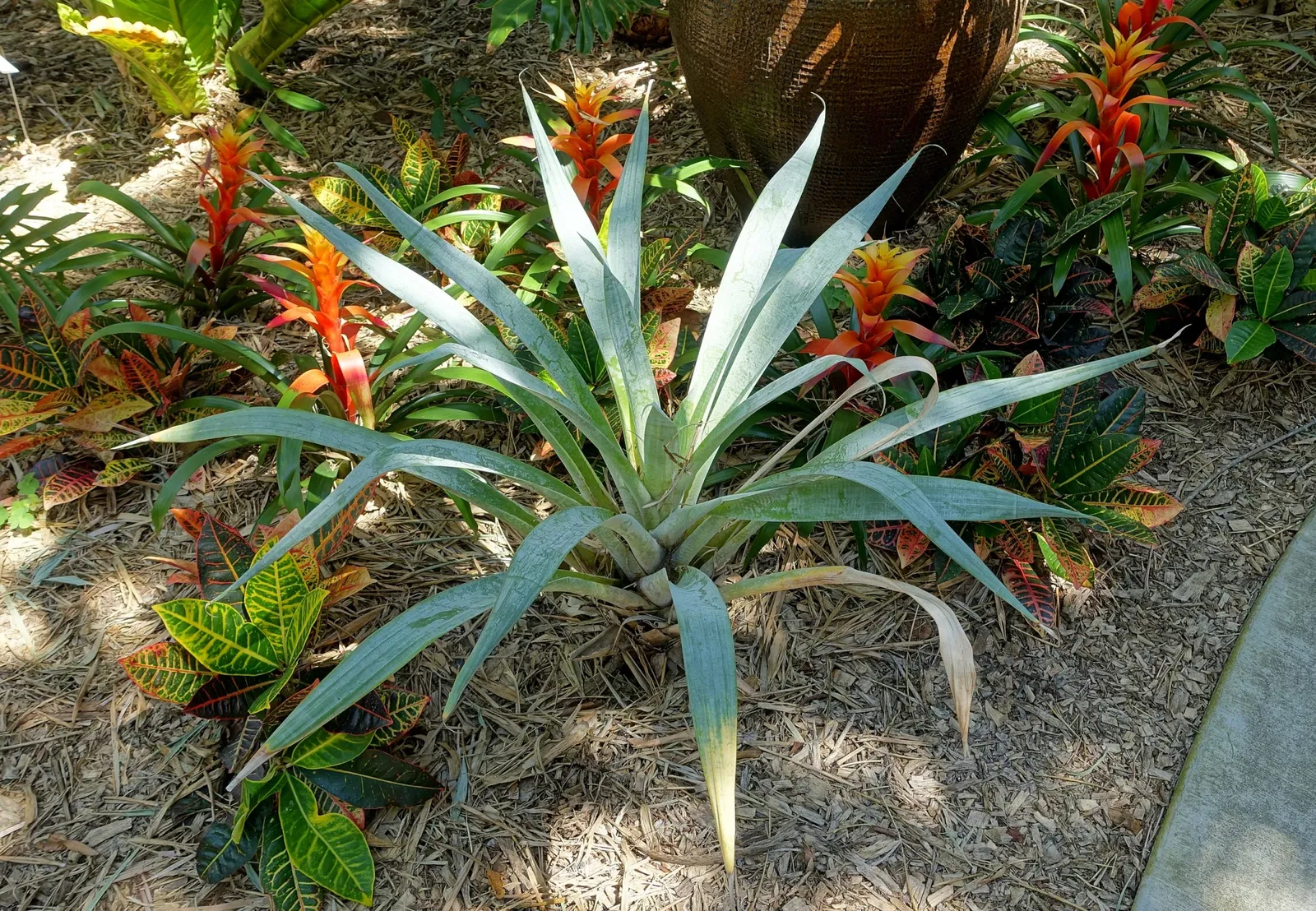 Casa de Christy Payne y Jardín Botánico Marie Selby