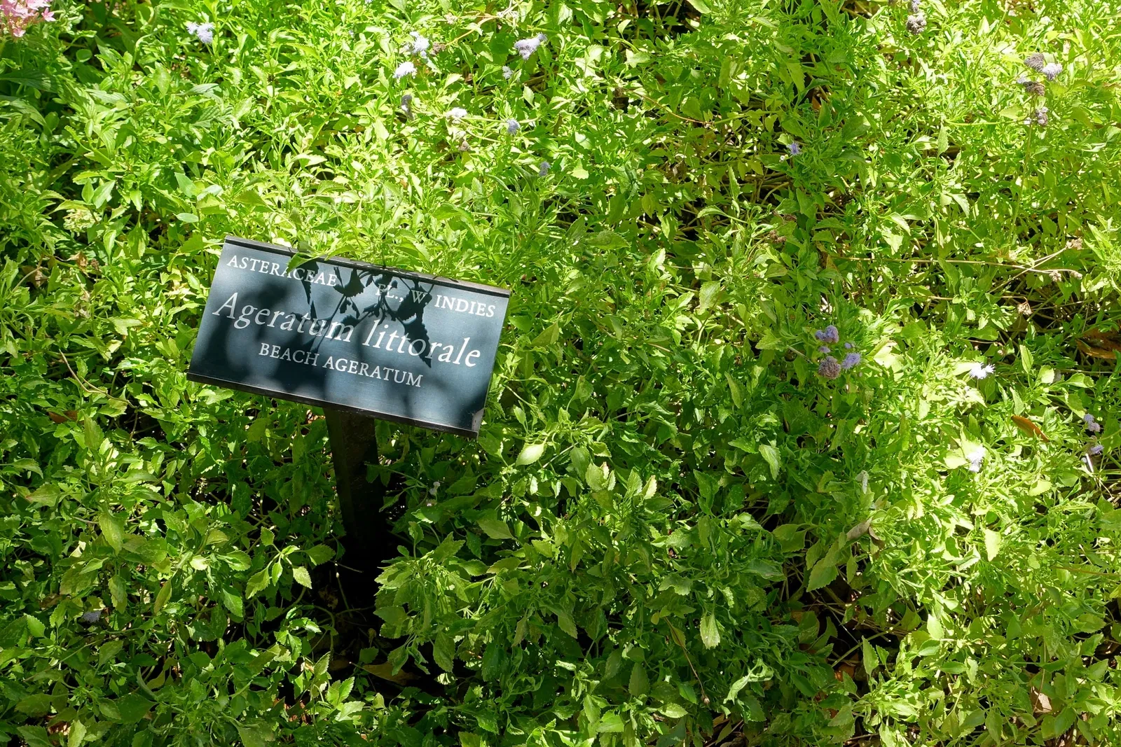 Casa de Christy Payne y Jardín Botánico Marie Selby