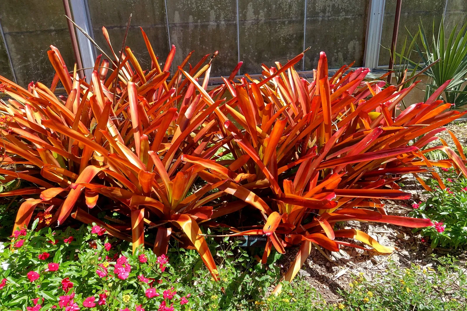 Casa de Christy Payne y Jardín Botánico Marie Selby