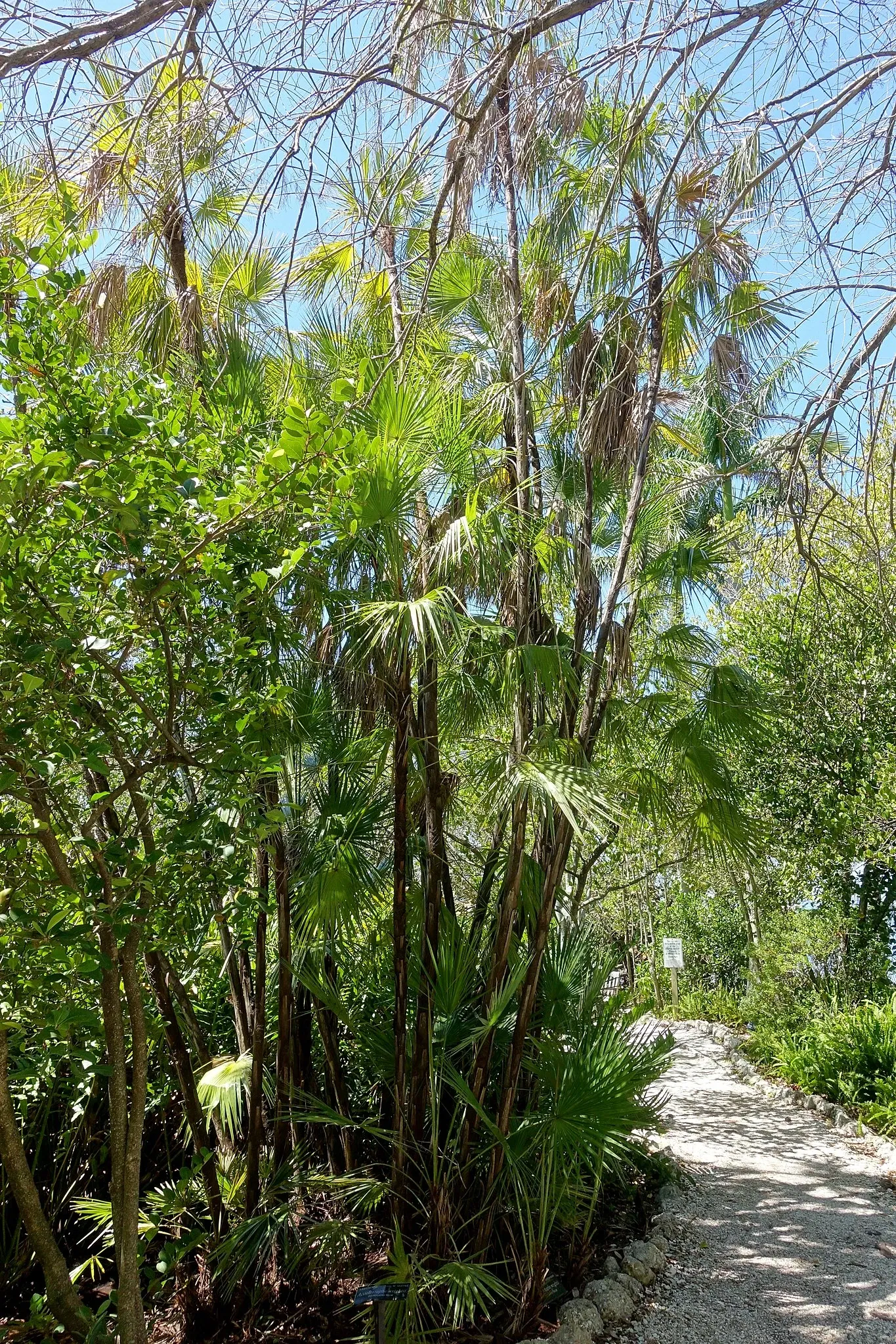 Casa de Christy Payne y Jardín Botánico Marie Selby