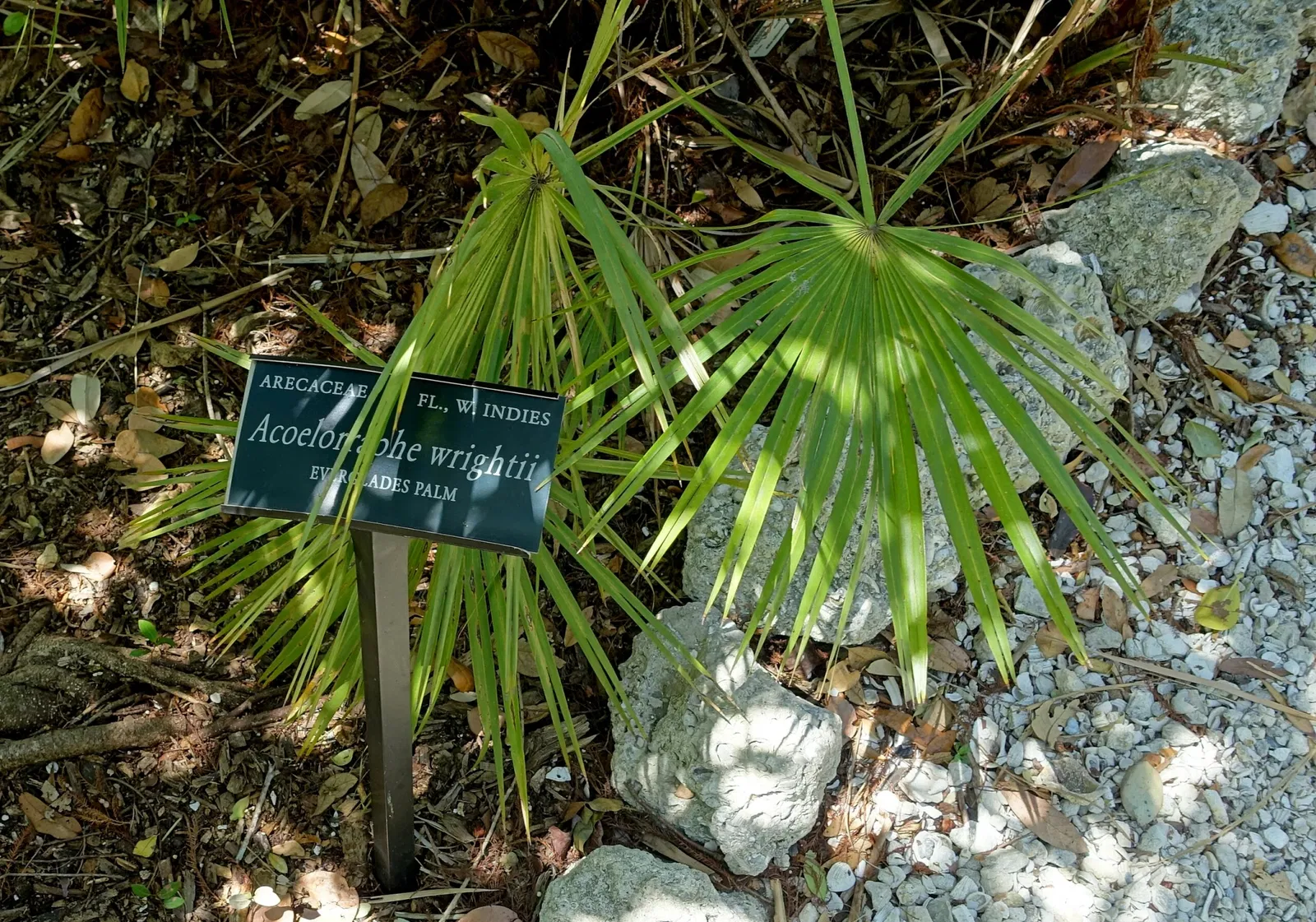 Casa de Christy Payne y Jardín Botánico Marie Selby