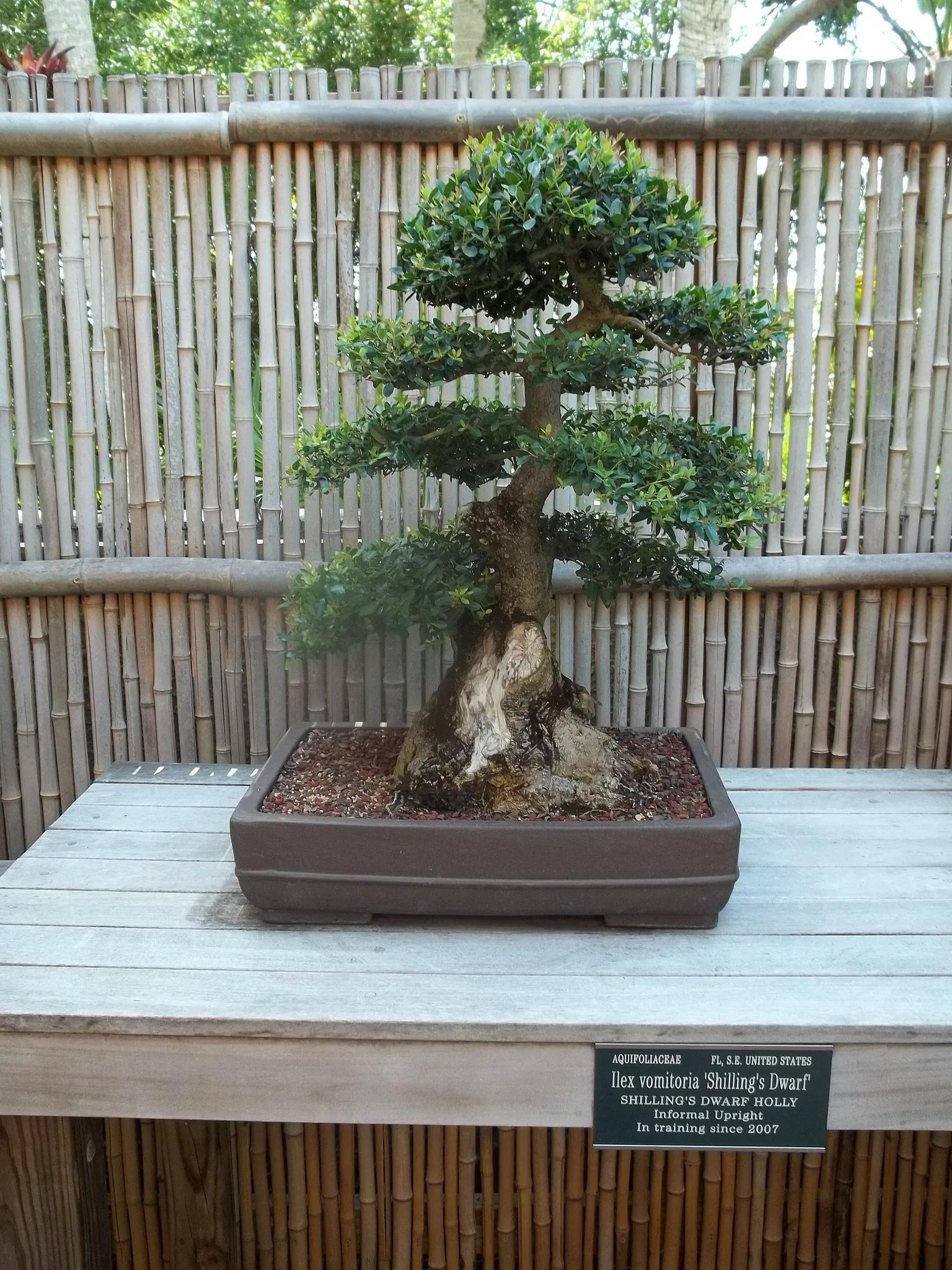 Casa de Christy Payne y Jardín Botánico Marie Selby