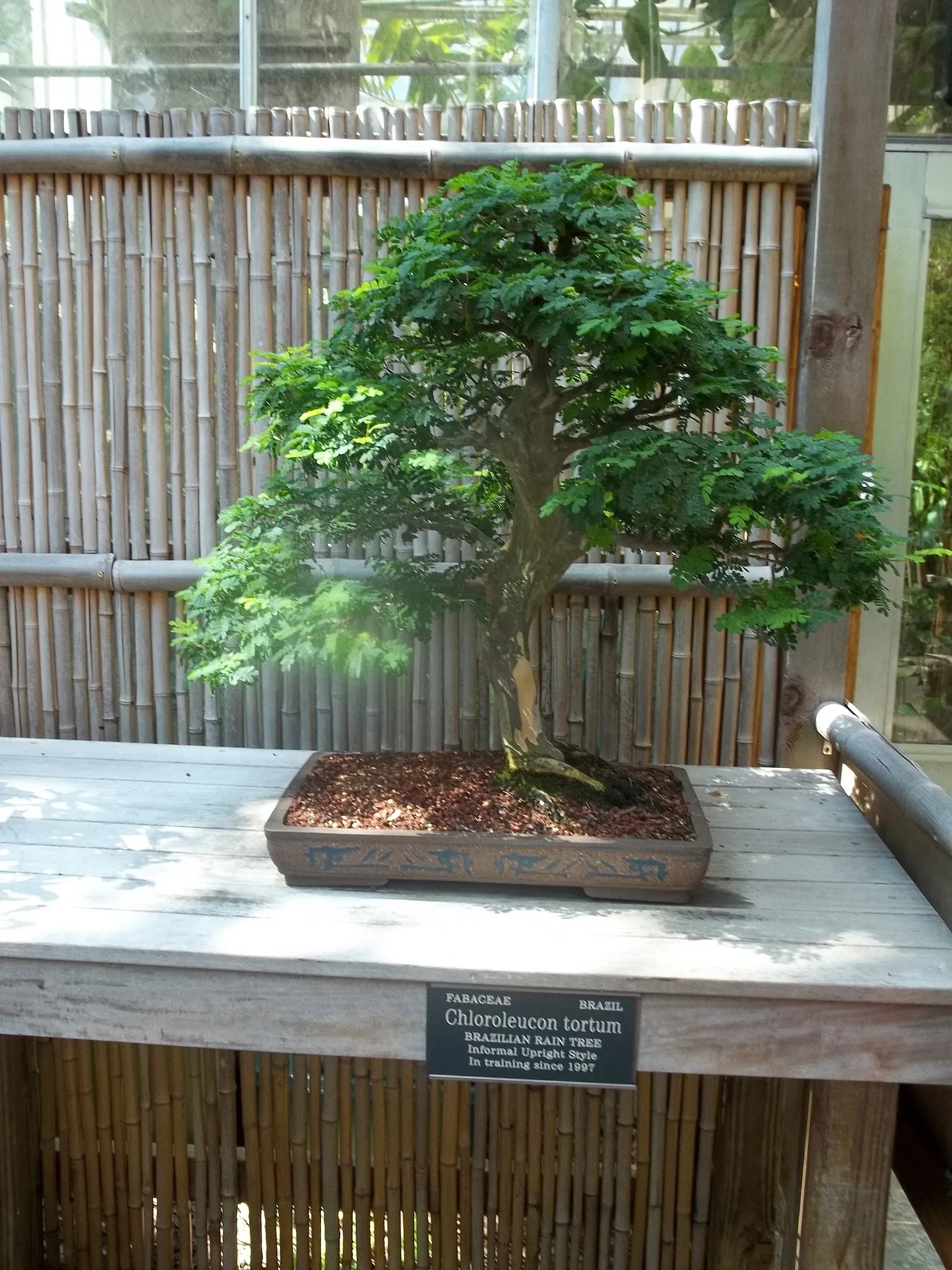 Marie Selby Botanical Gardens