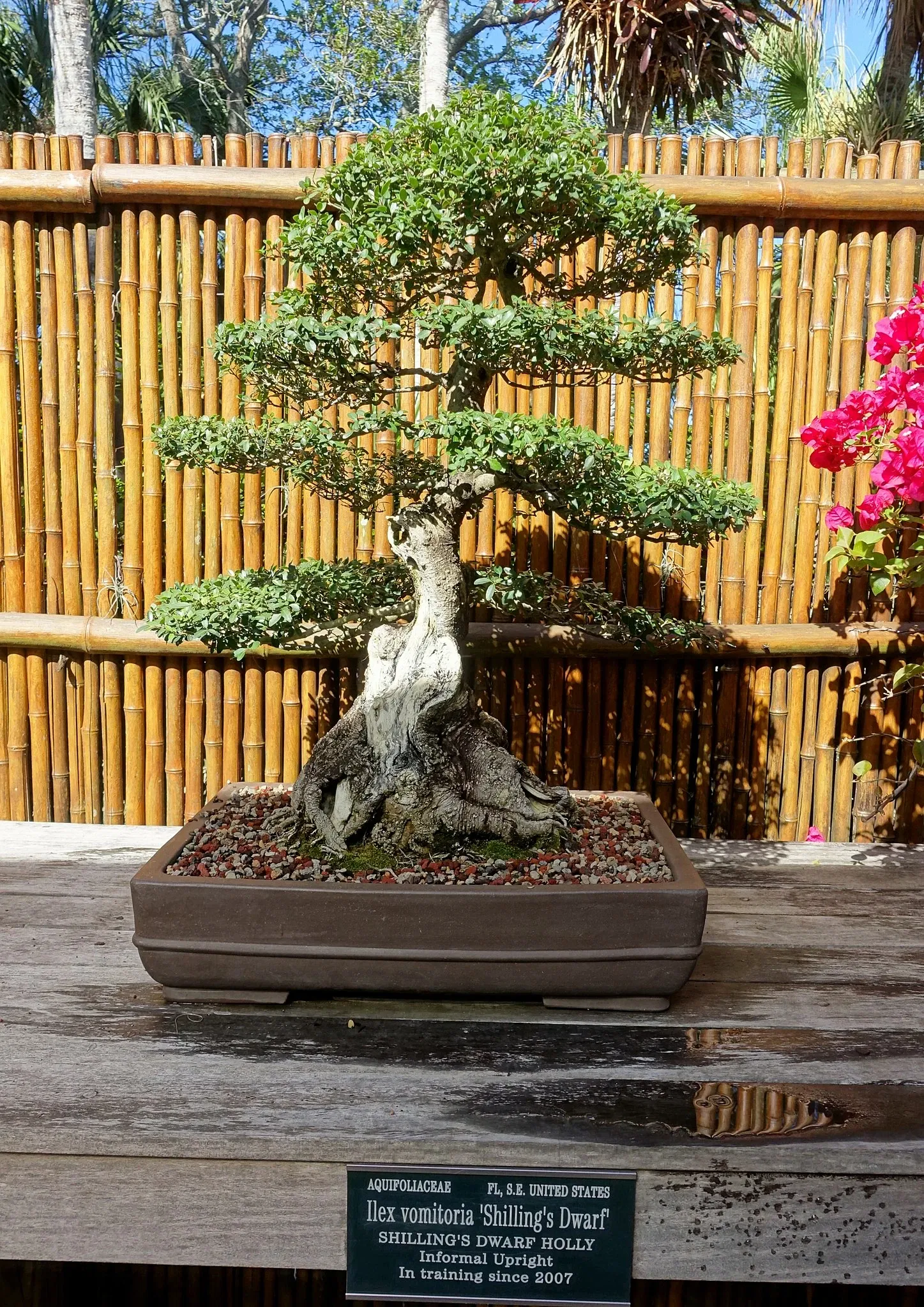 Marie Selby Botanical Gardens