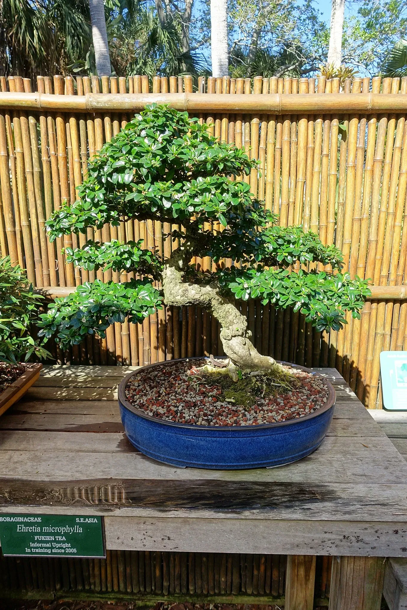 Casa de Christy Payne y Jardín Botánico Marie Selby