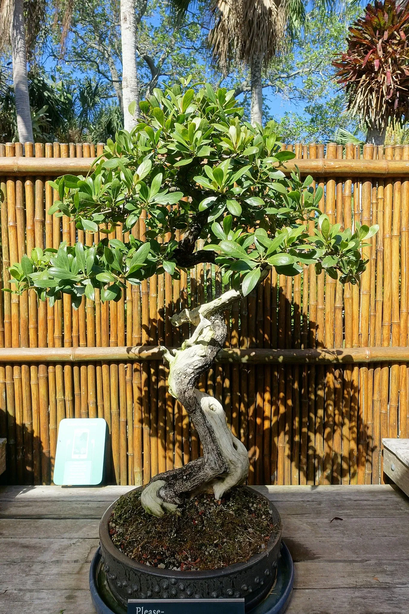 Casa de Christy Payne y Jardín Botánico Marie Selby