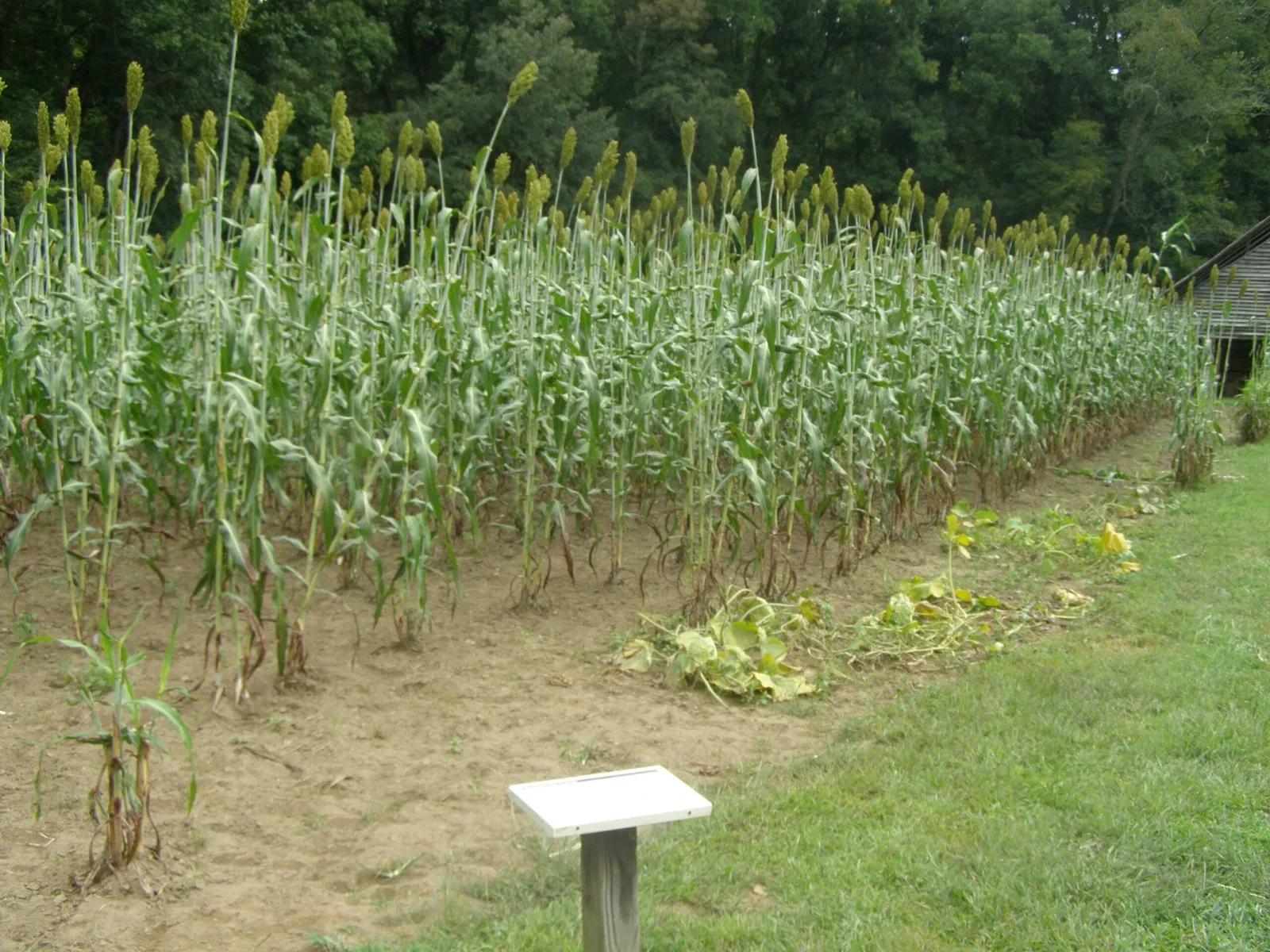 Mountain Farm Museum