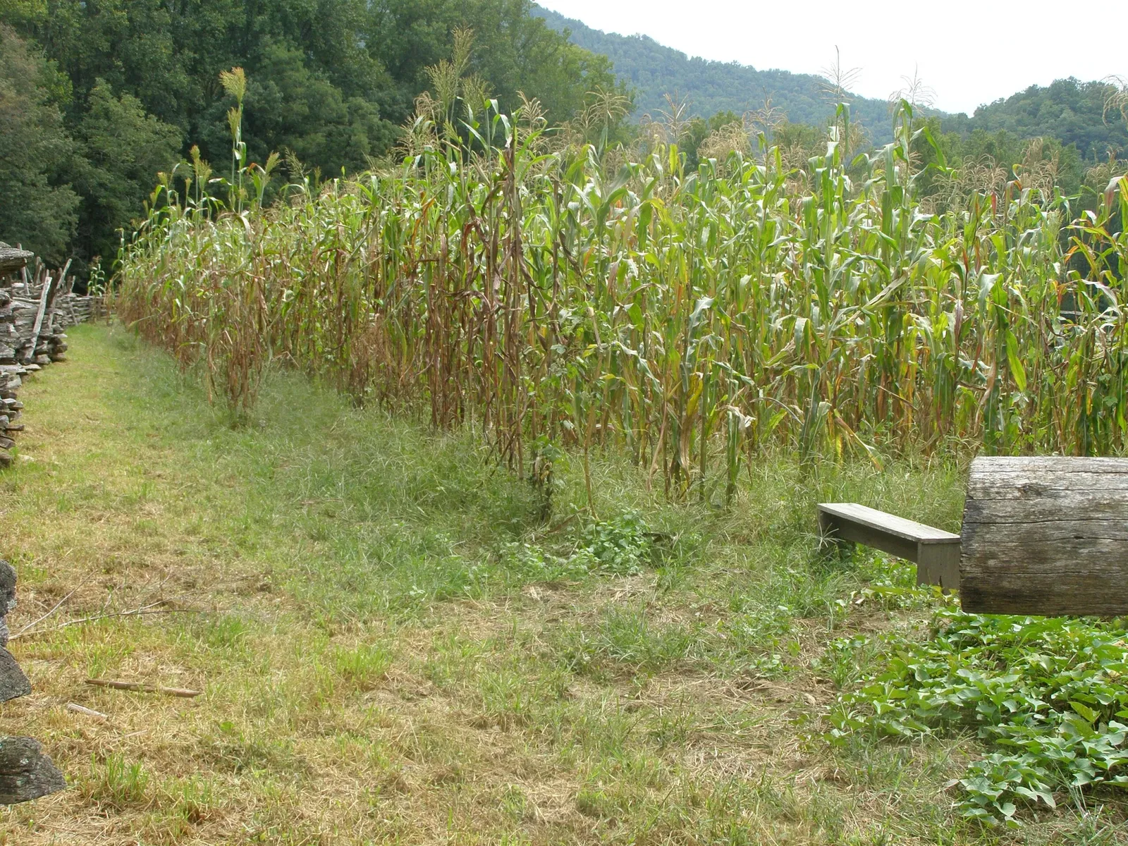 Mountain Farm Museum
