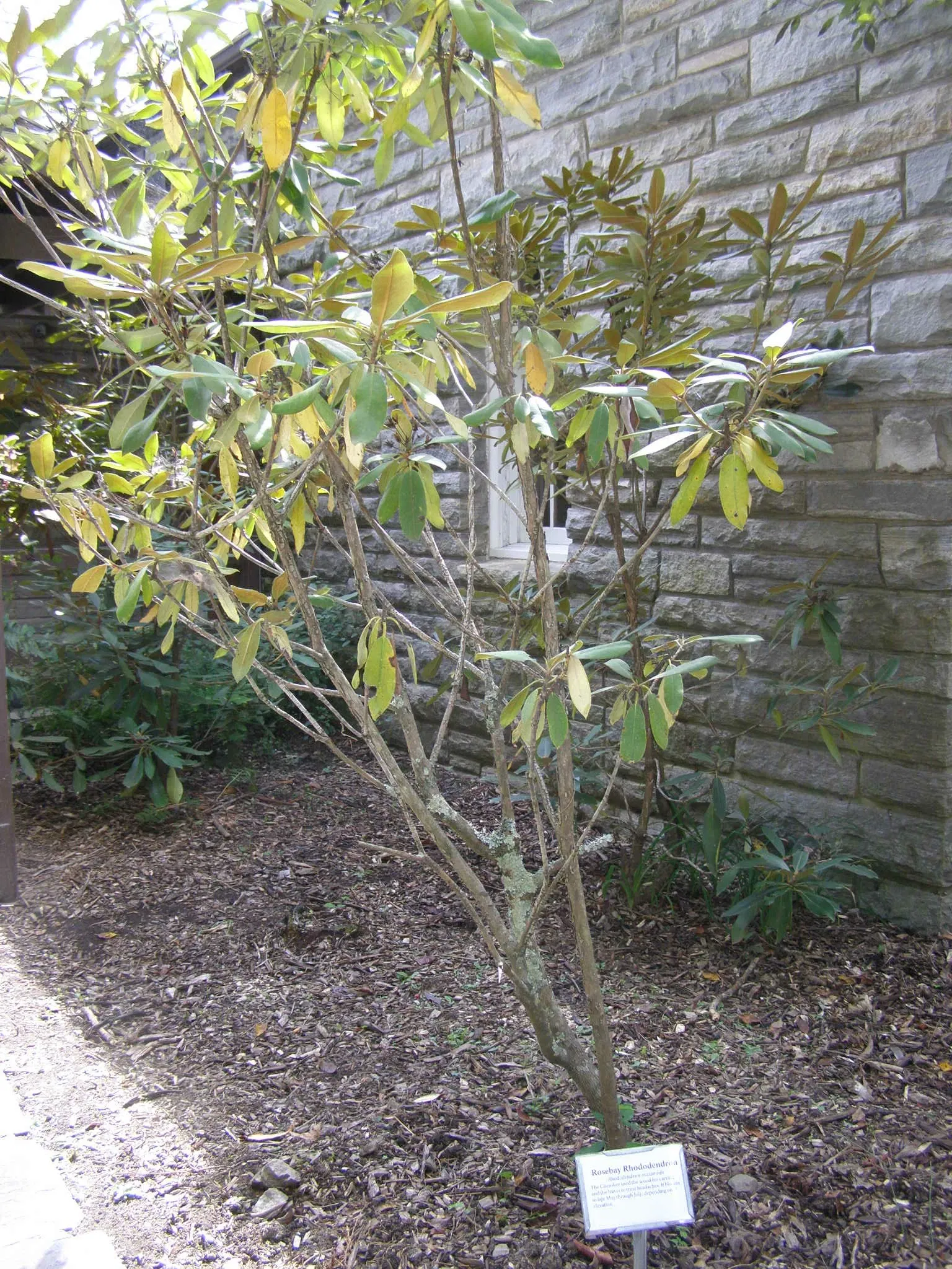 Mountain Farm Museum