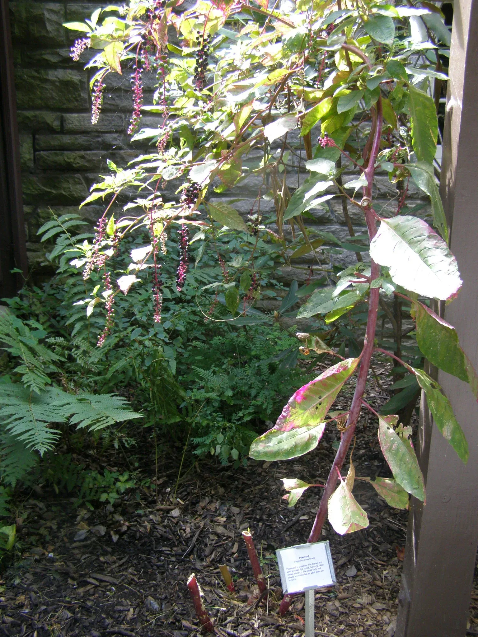 Mountain Farm Museum