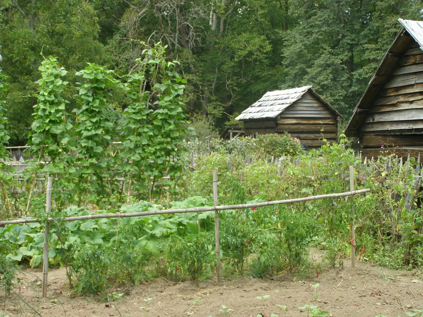 Mountain Farm Museum