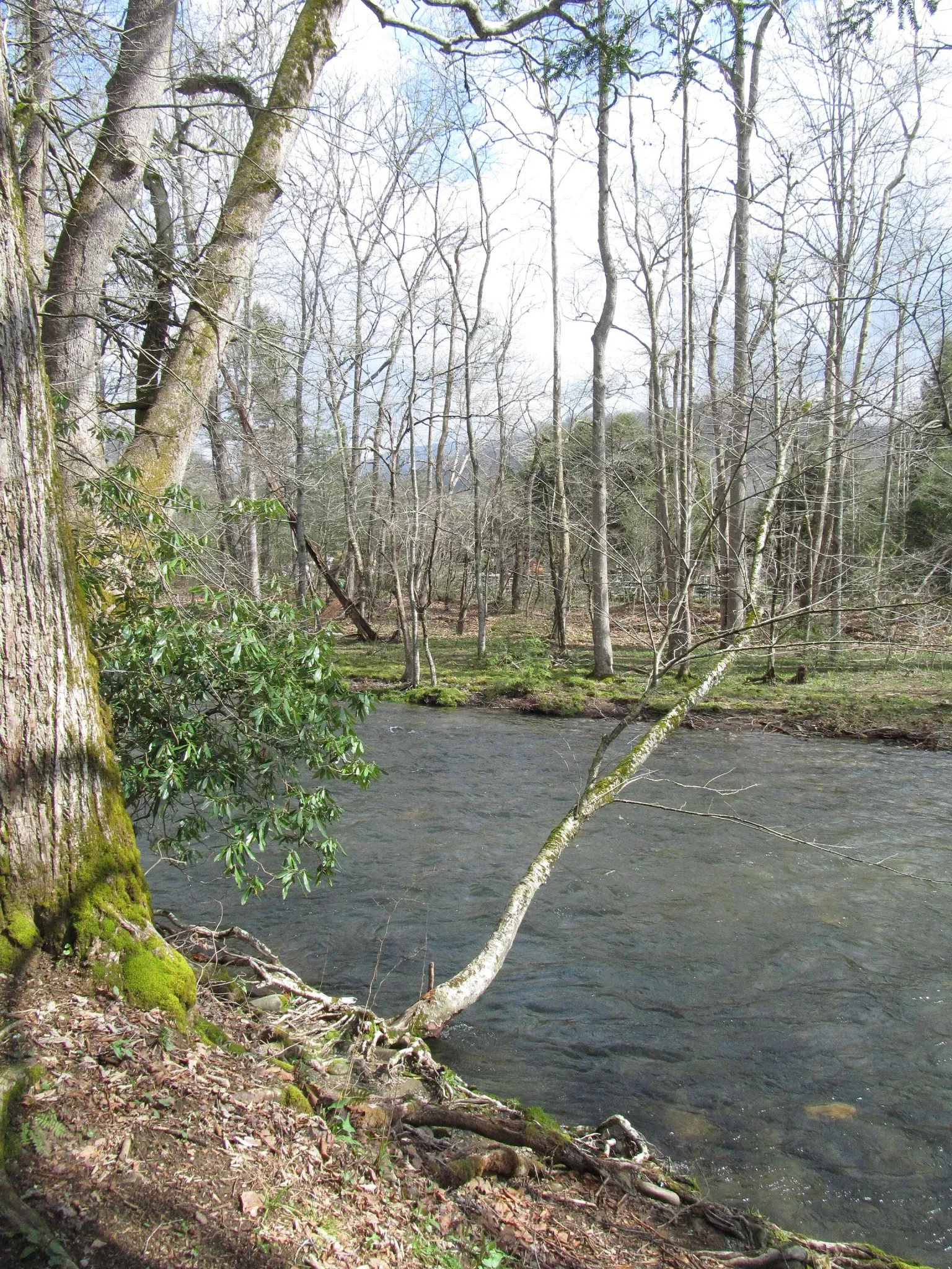 Mountain Farm Museum