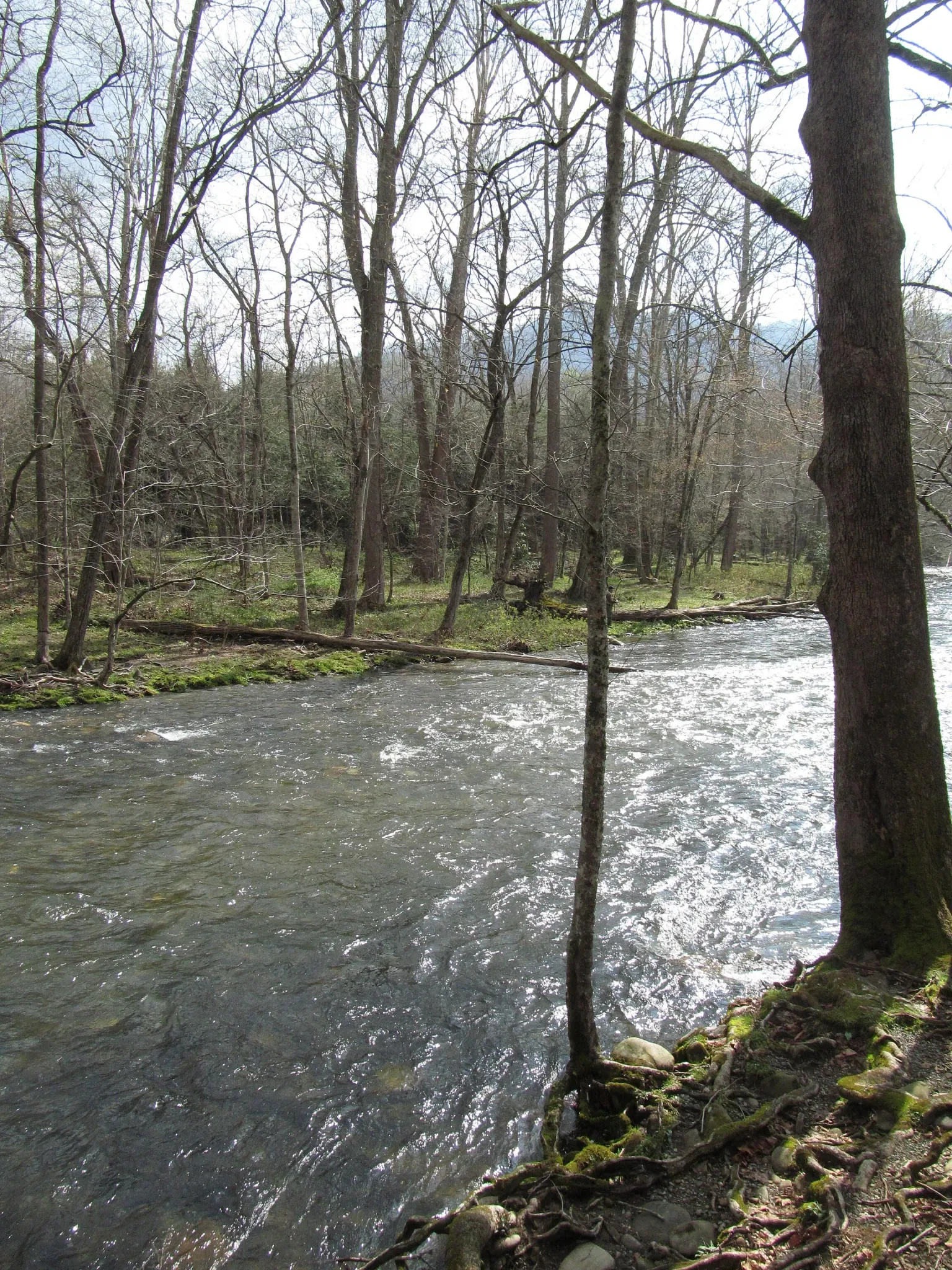 Mountain Farm Museum