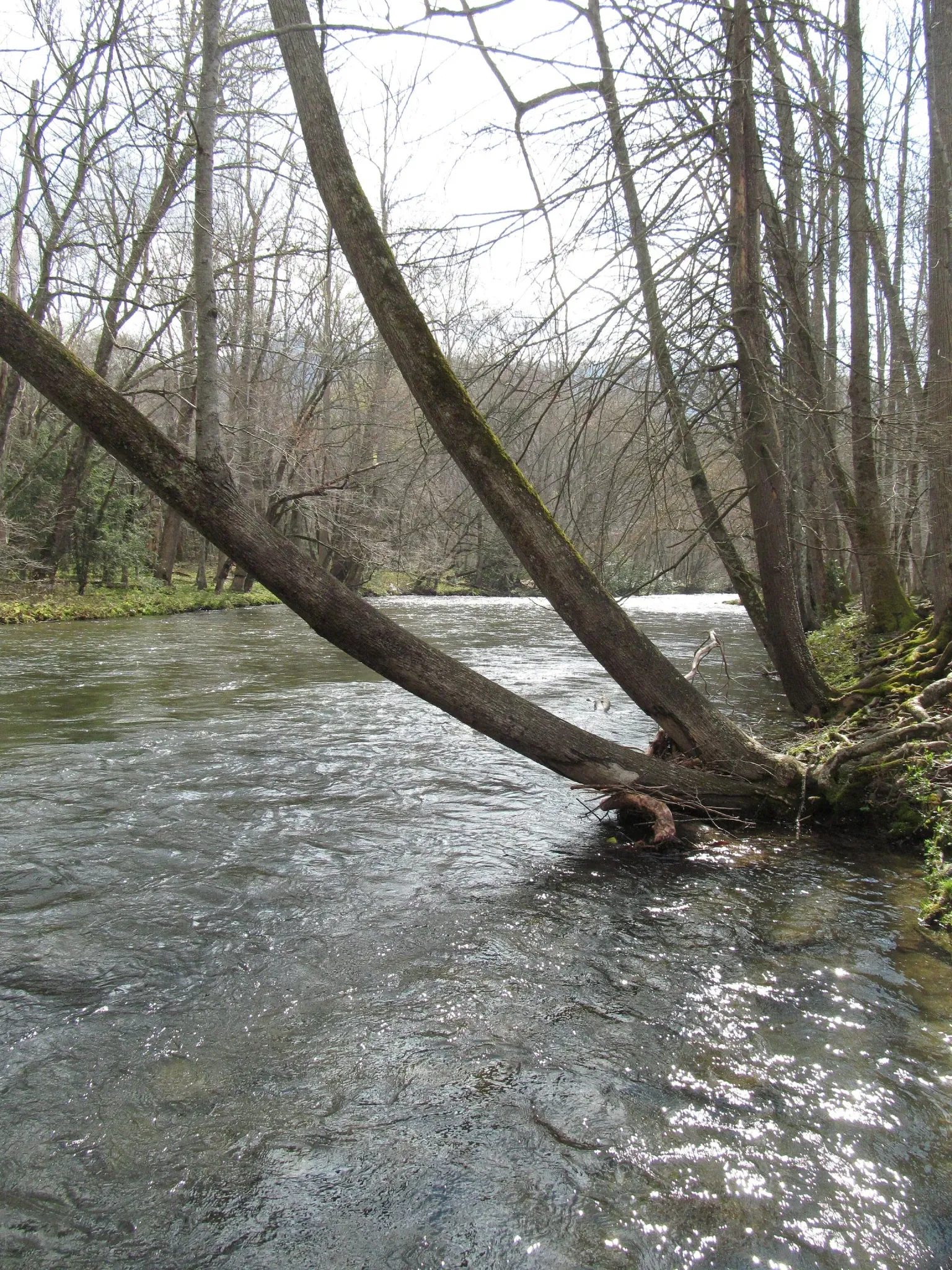 Mountain Farm Museum