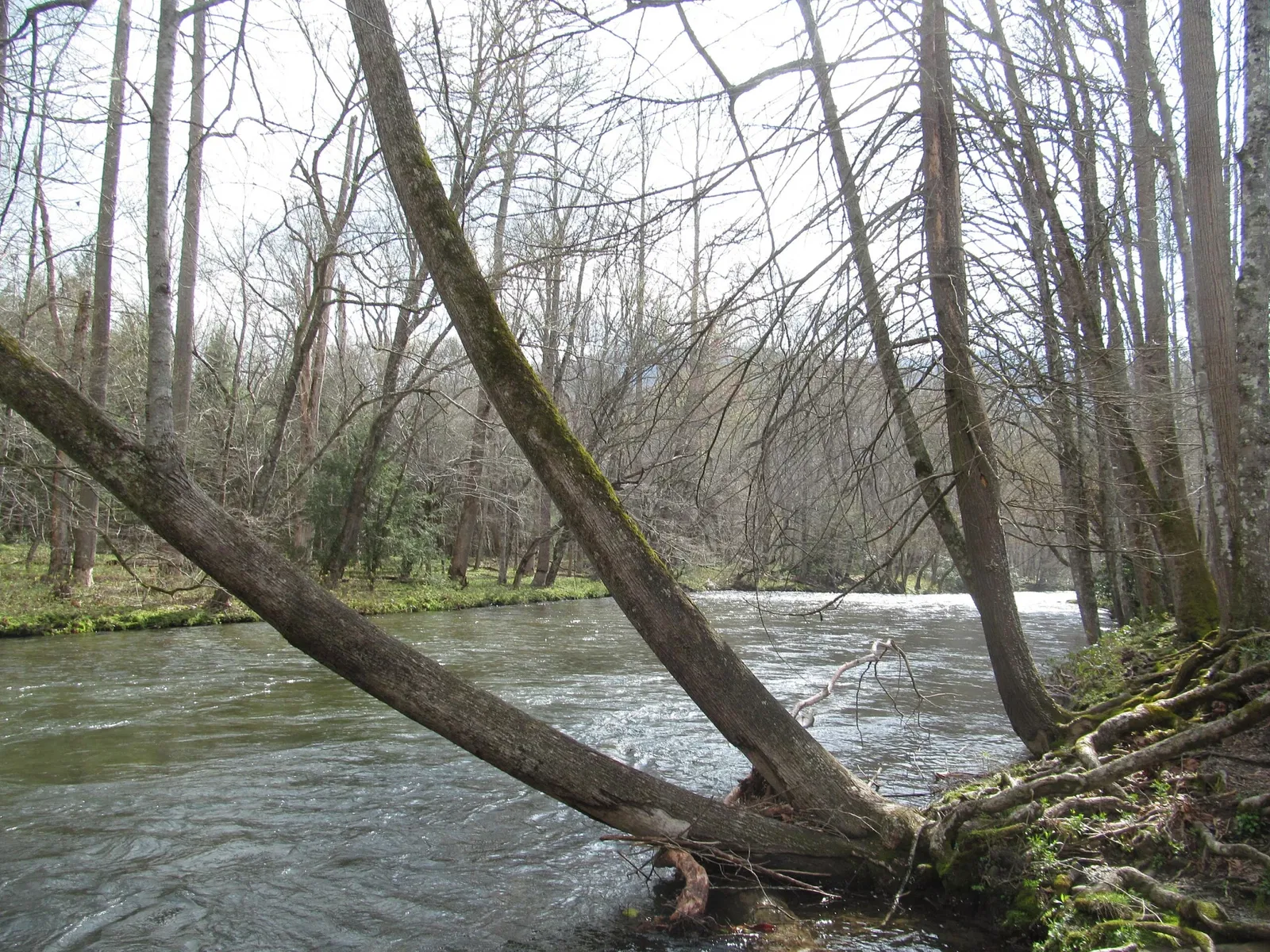 Mountain Farm Museum