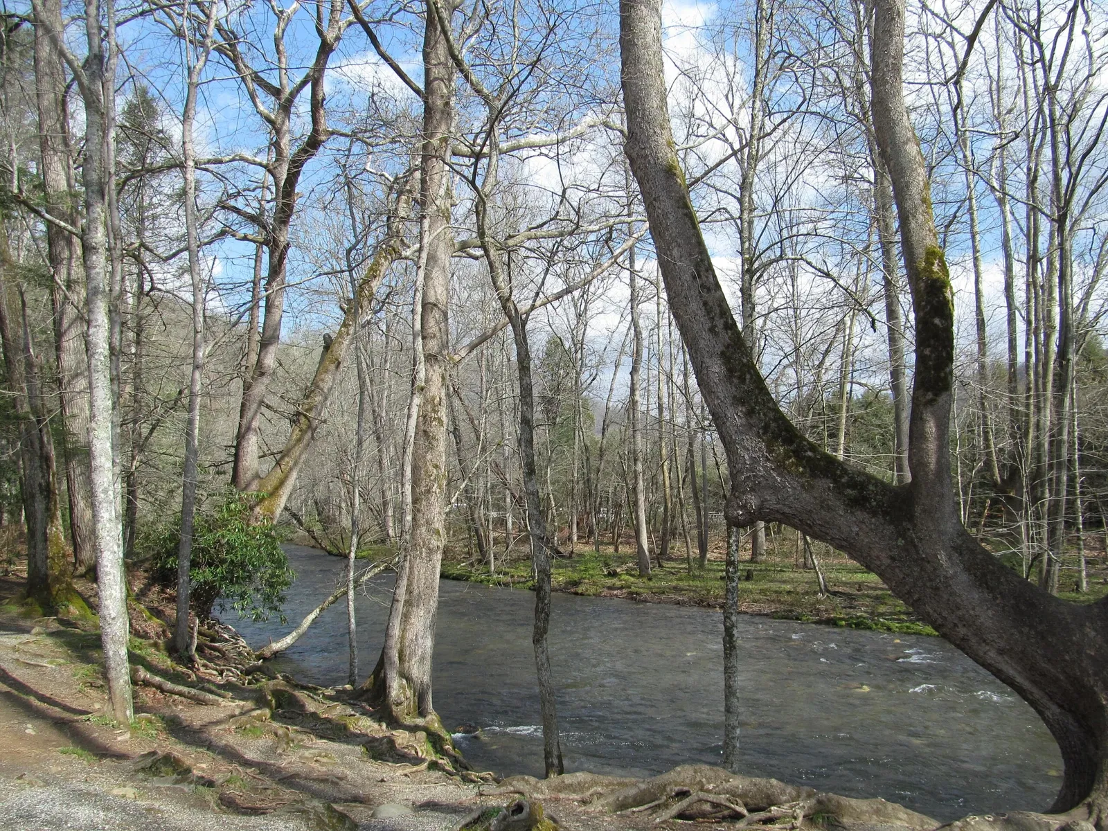 Mountain Farm Museum