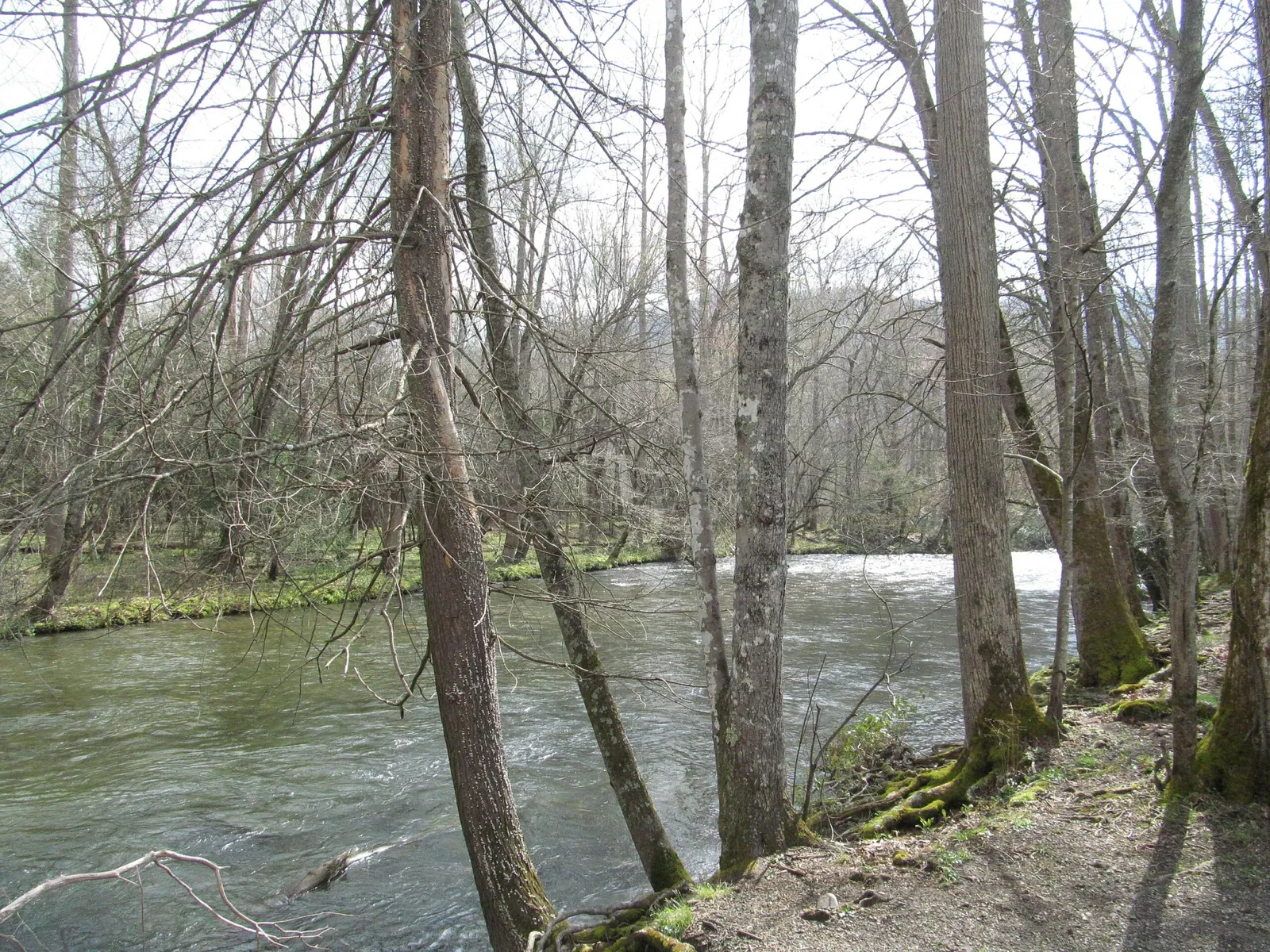 Mountain Farm Museum