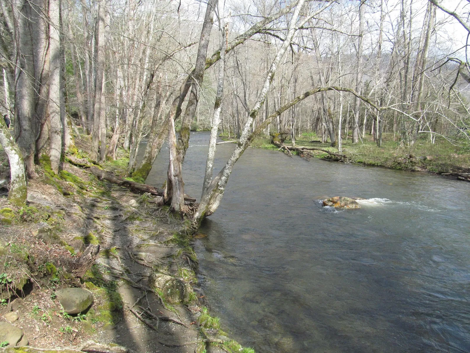Mountain Farm Museum