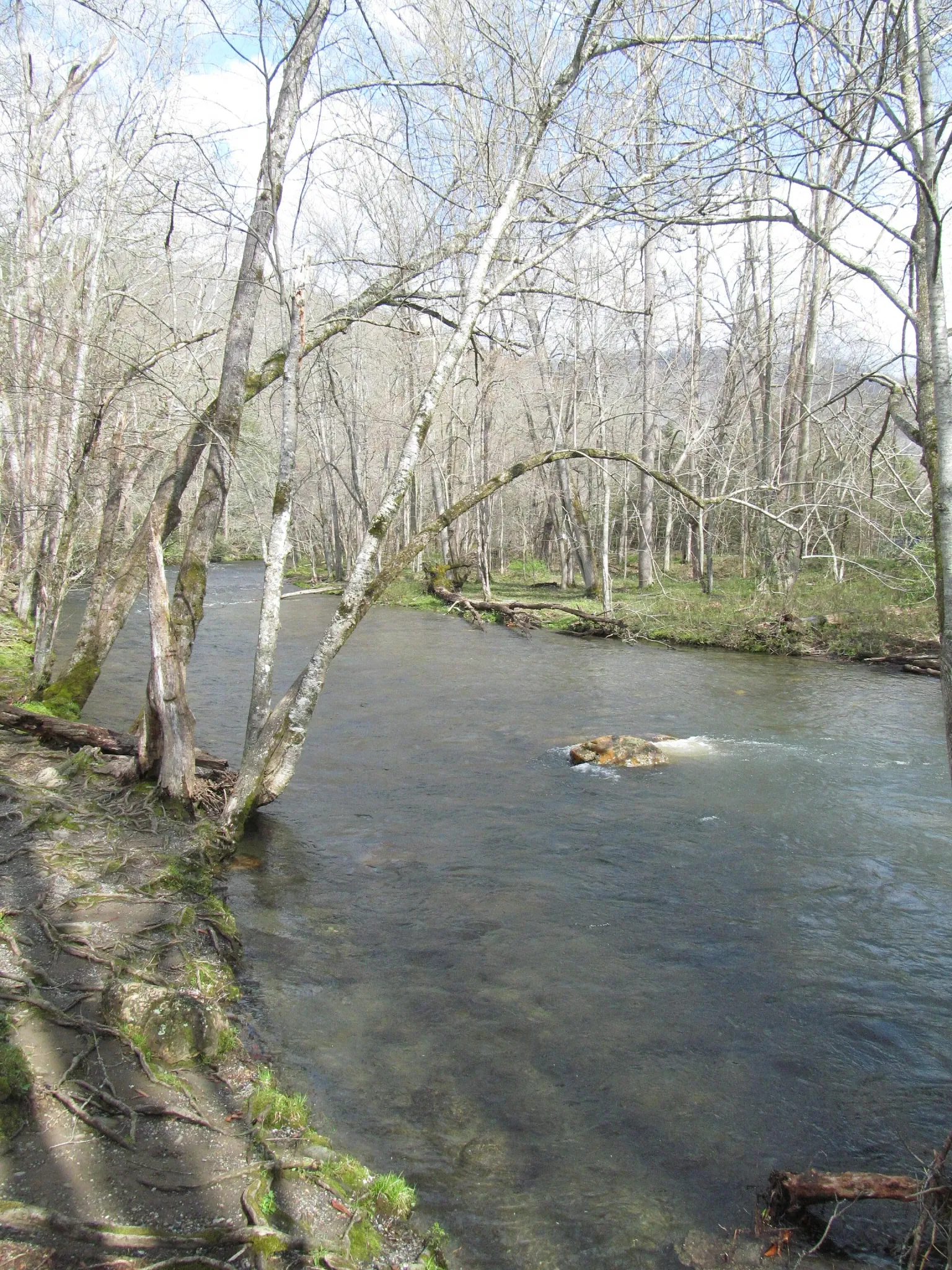 Mountain Farm Museum