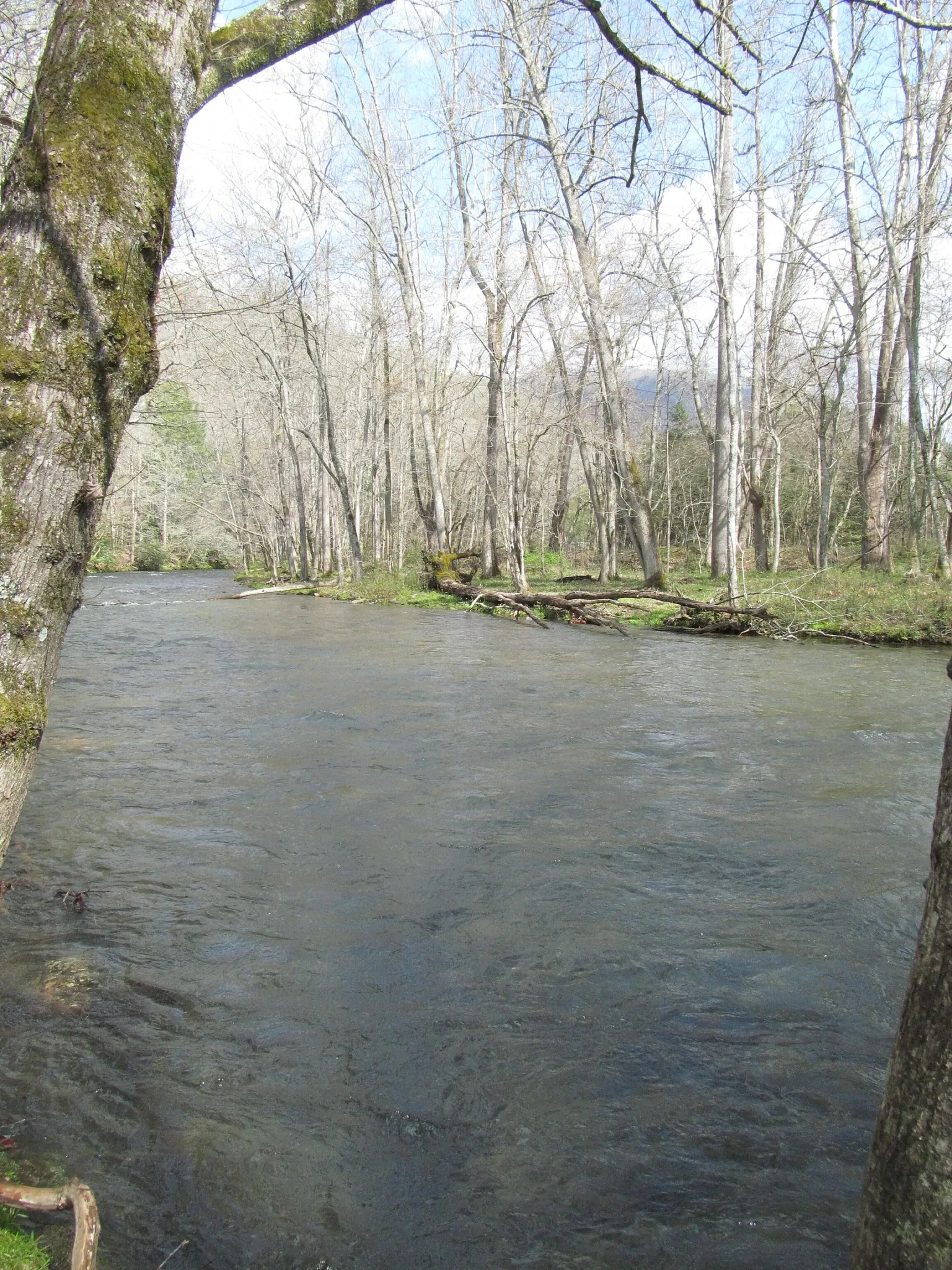 Mountain Farm Museum