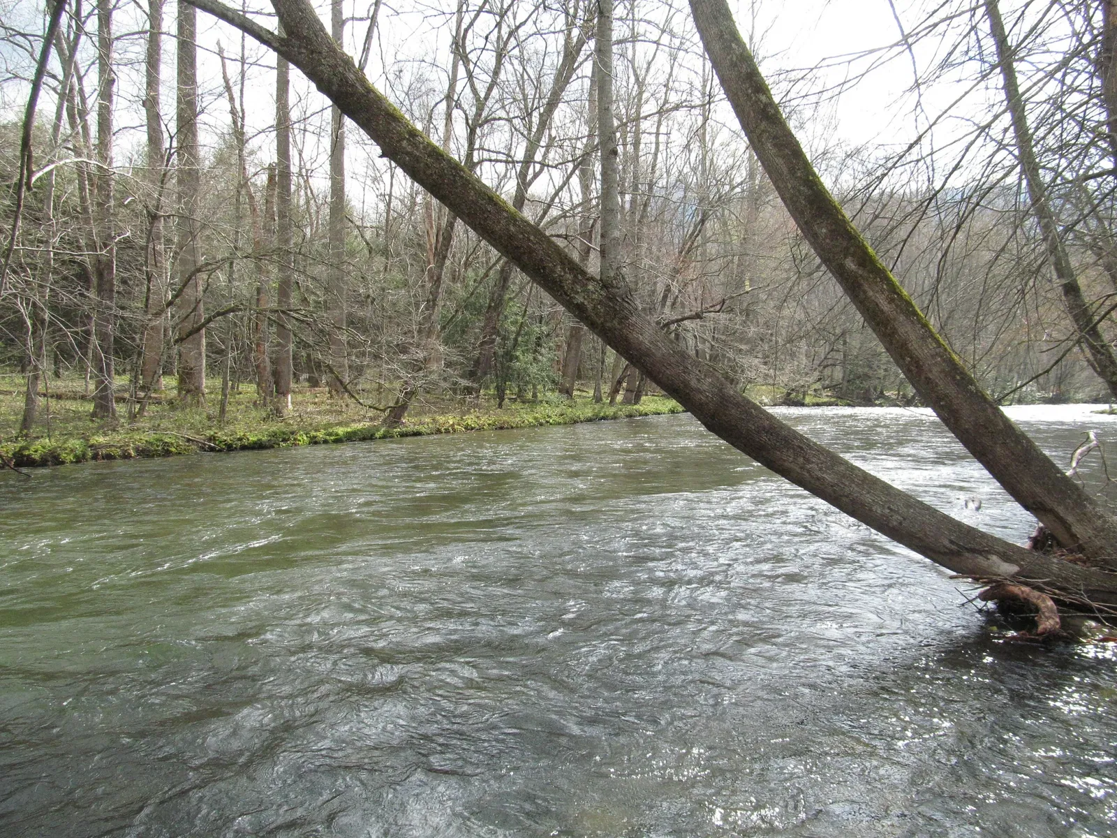 Mountain Farm Museum