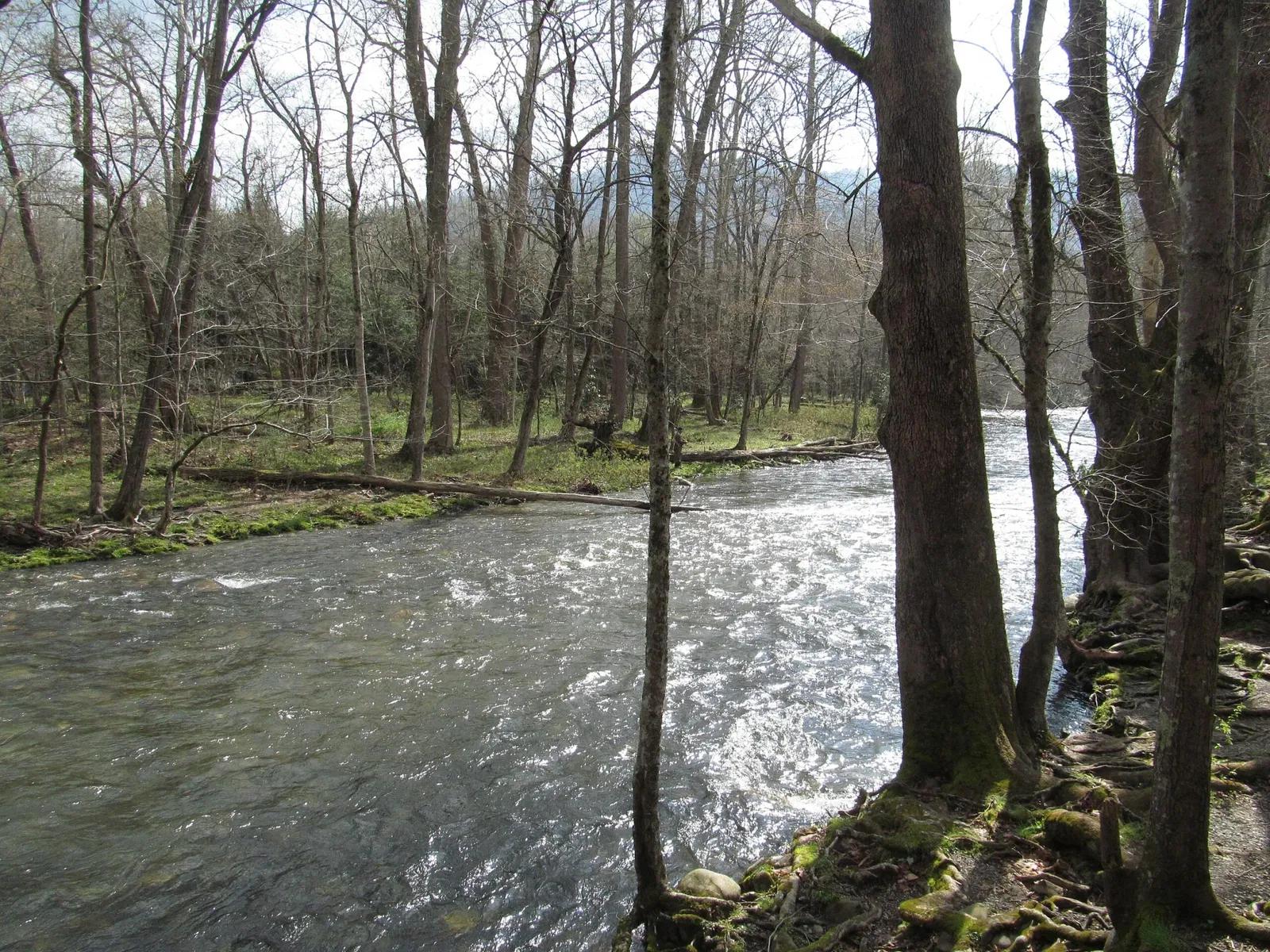 Mountain Farm Museum