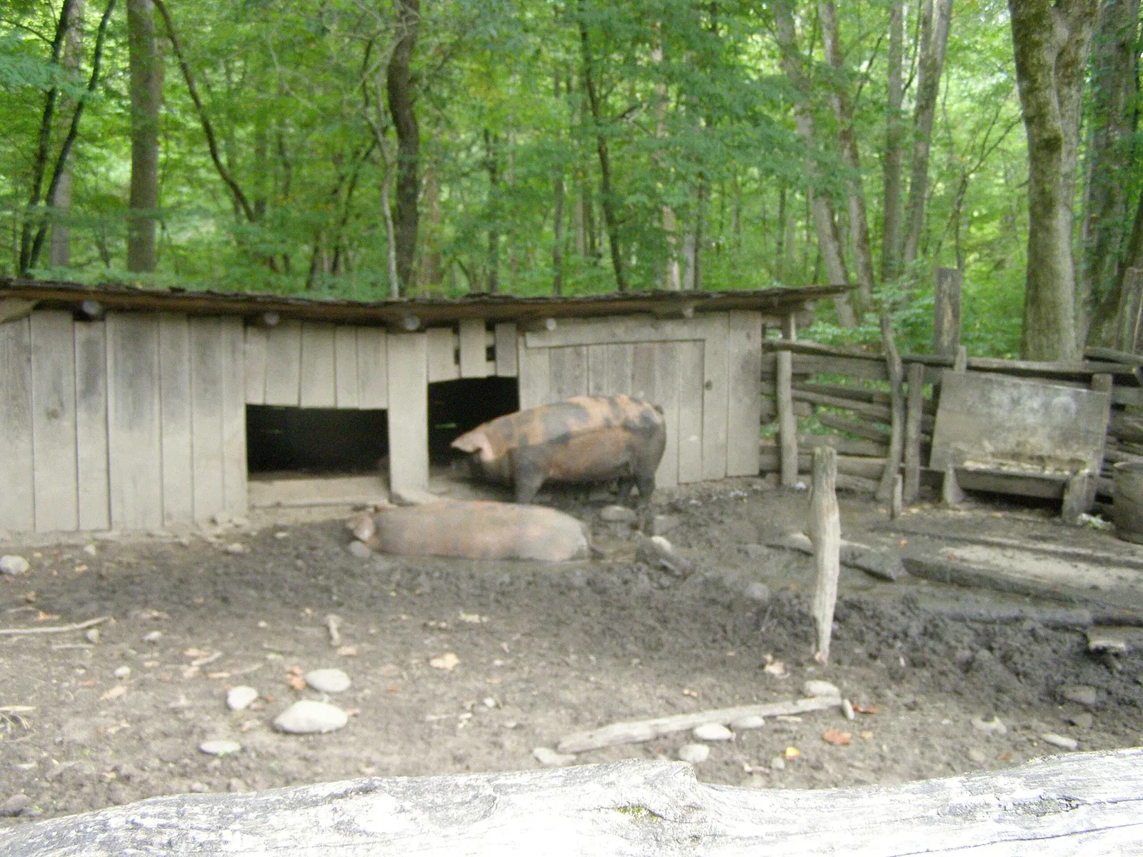 Mountain Farm Museum