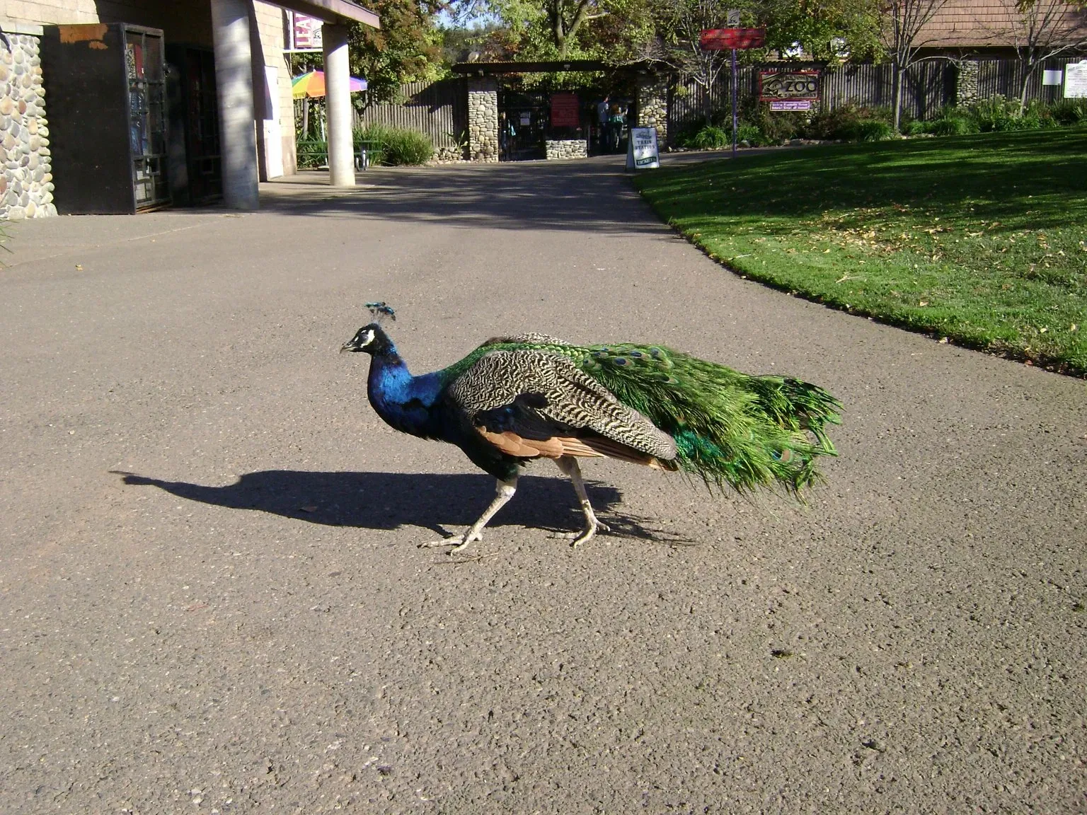 Folsom City Zoo Sanctuary