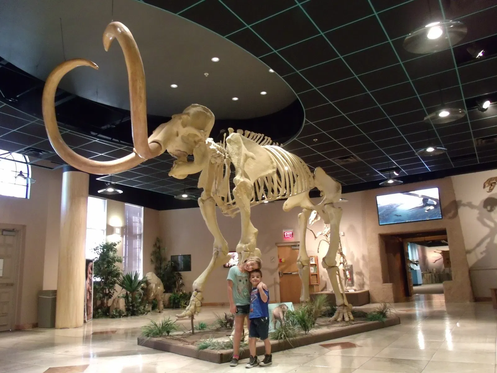 Museo de Historia Natural de Arizona