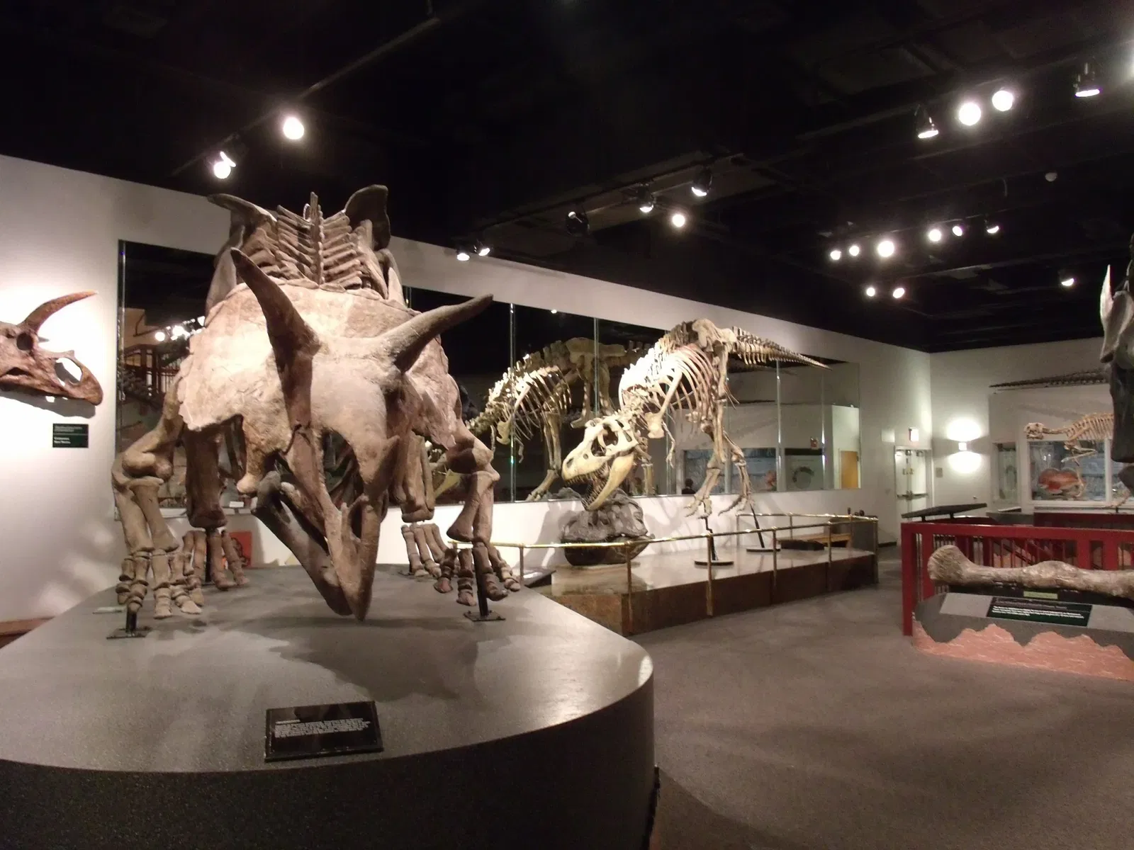 Arizona Museum of Natural History