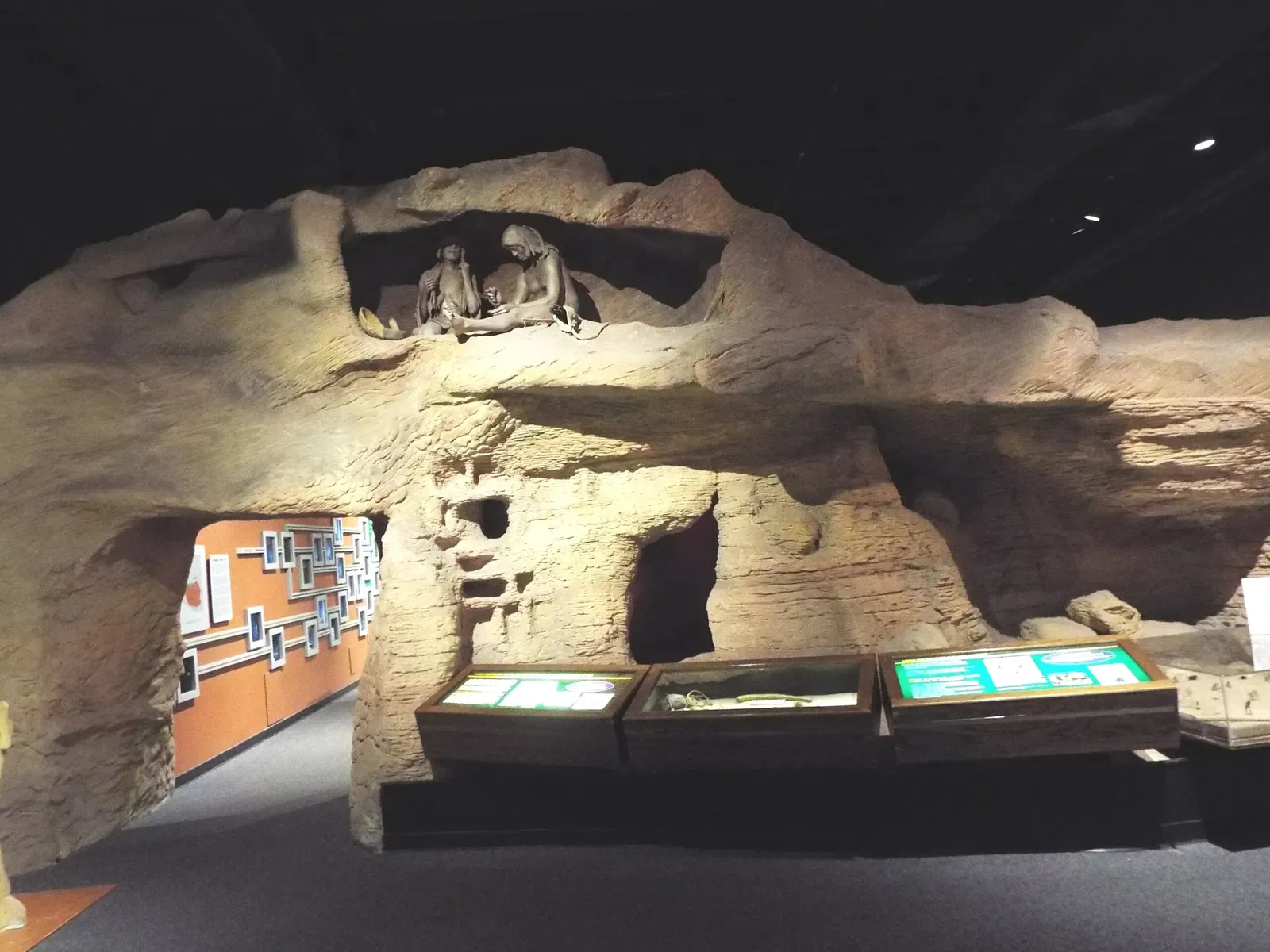 Arizona Museum of Natural History