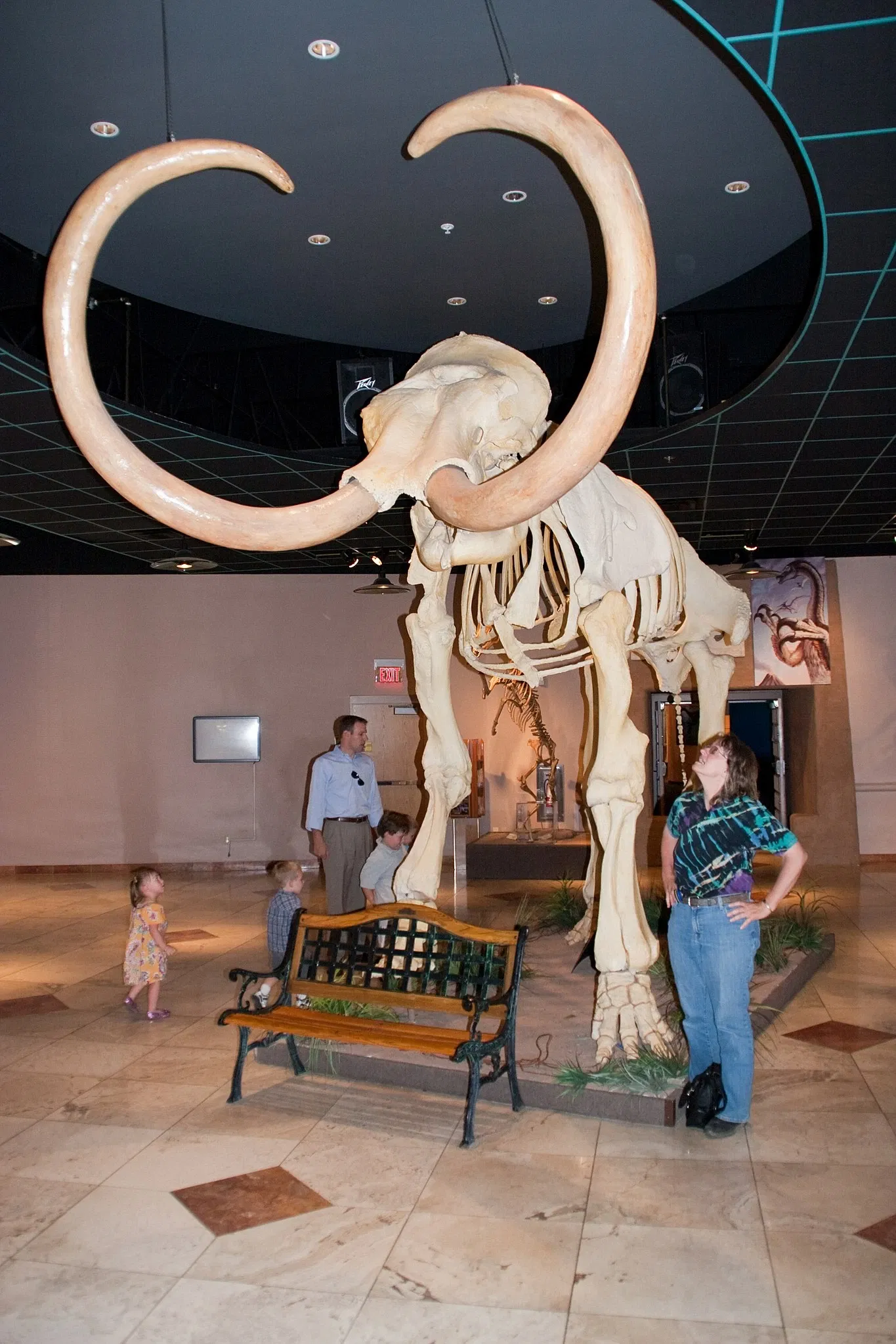 Museo de Historia Natural de Arizona
